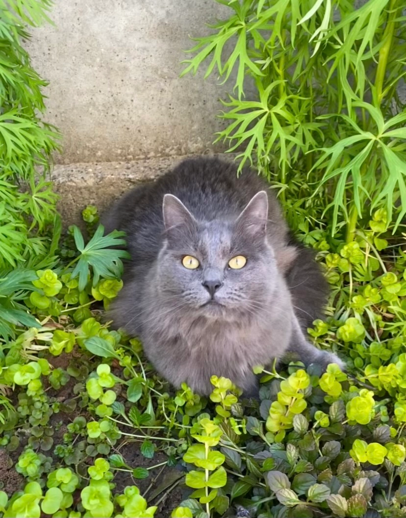 Uno  - 165 Rue de Magnicourt, Ambrines