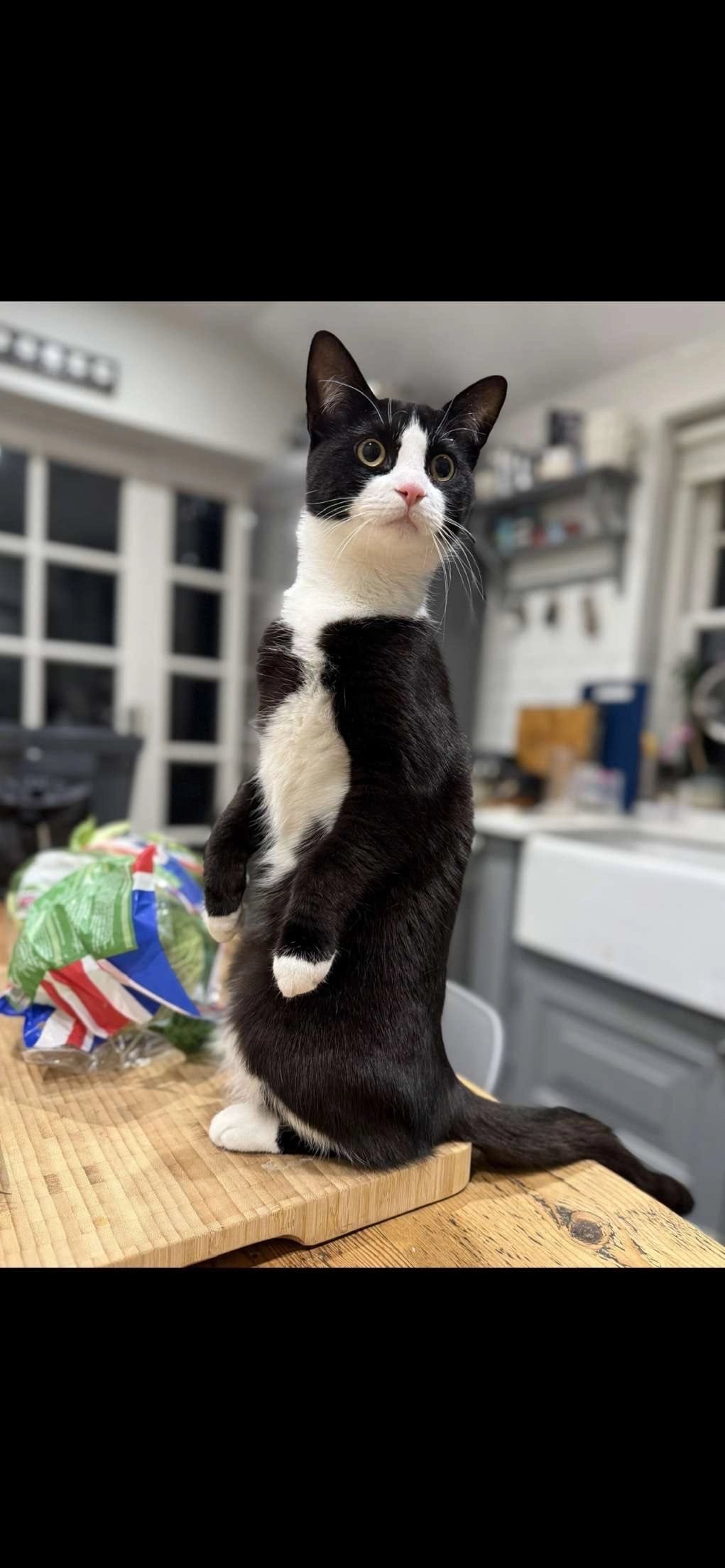 Mimi - 8 Church Street, Bicester