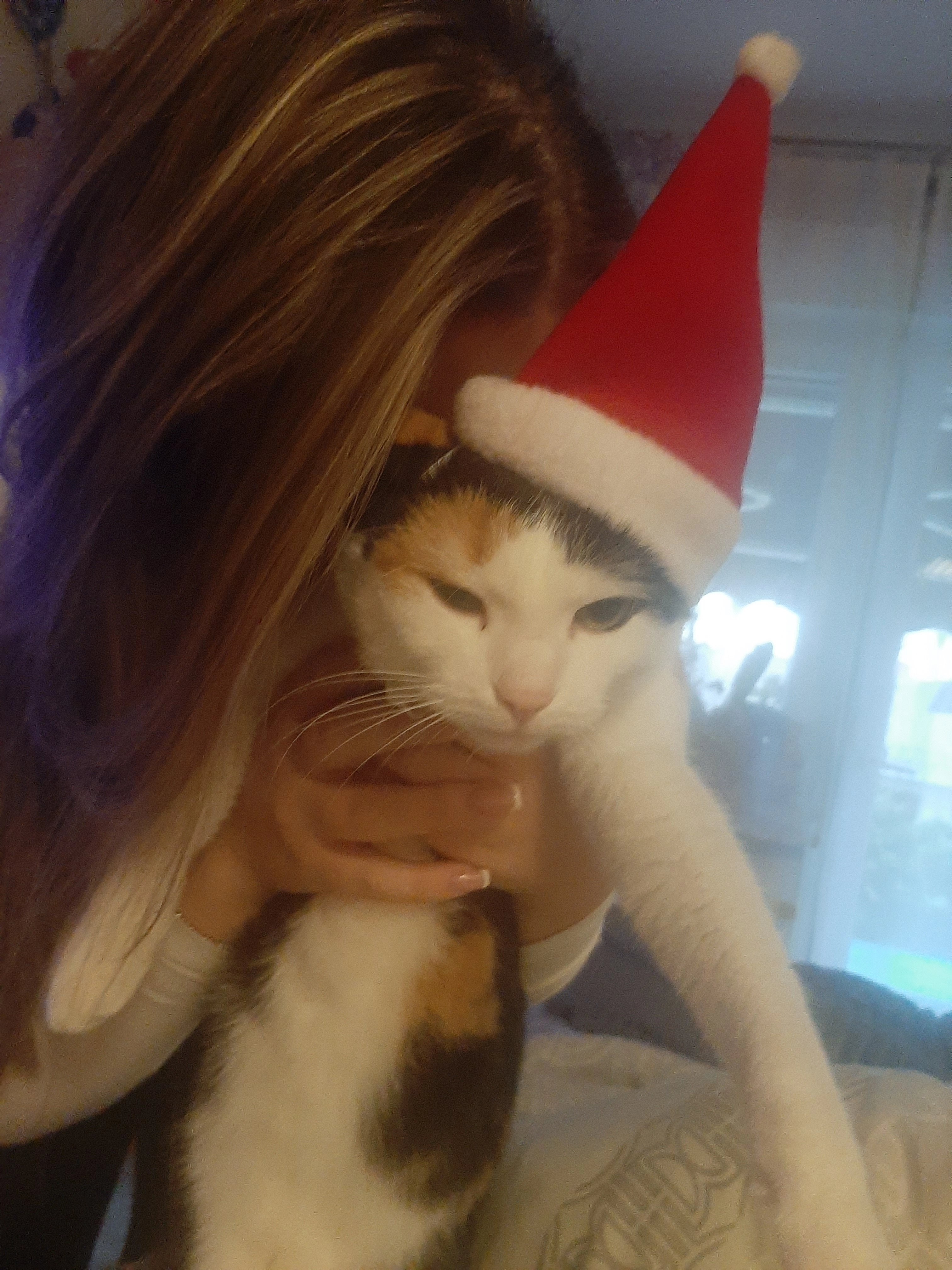 Nala - Münchener Straße, Nürnberg