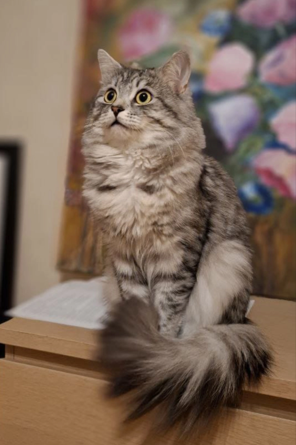 Kurama - Obernkirchenstraße, Dortmund