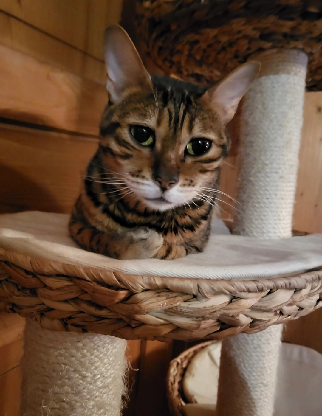 Nalah - Kirchstrasse, Flums