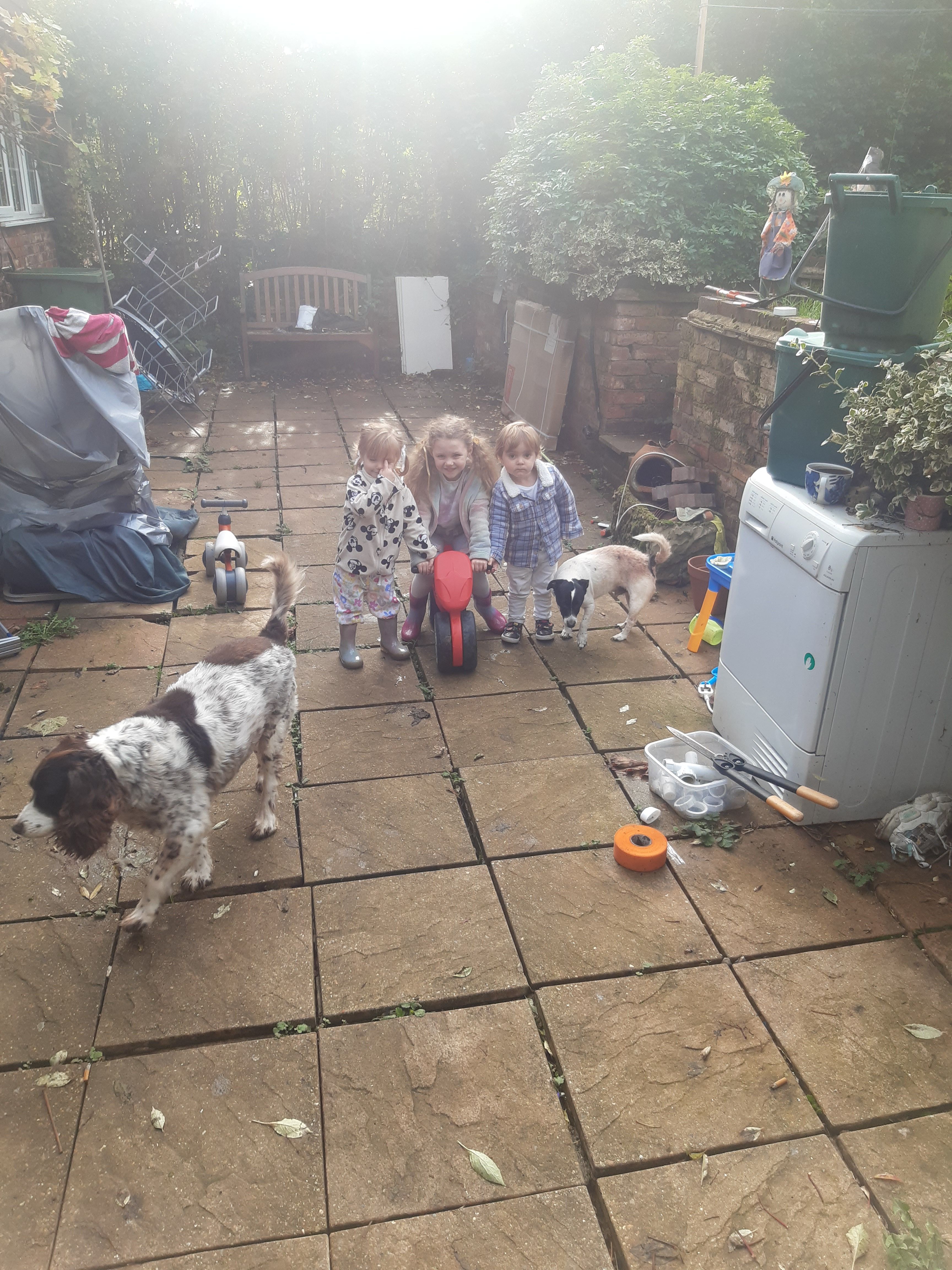 Oscar  - Curling Vale, Guildford