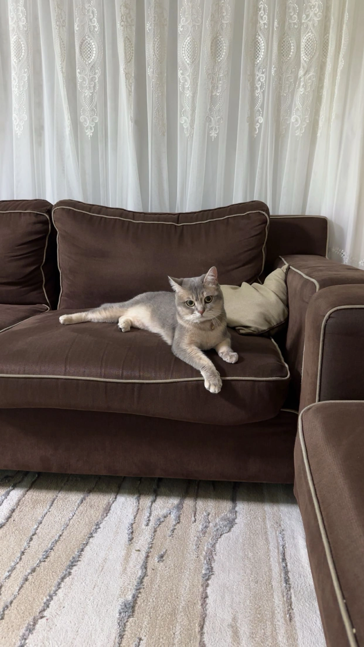 Boncuk - Ontvoogdingstraat, Leuven