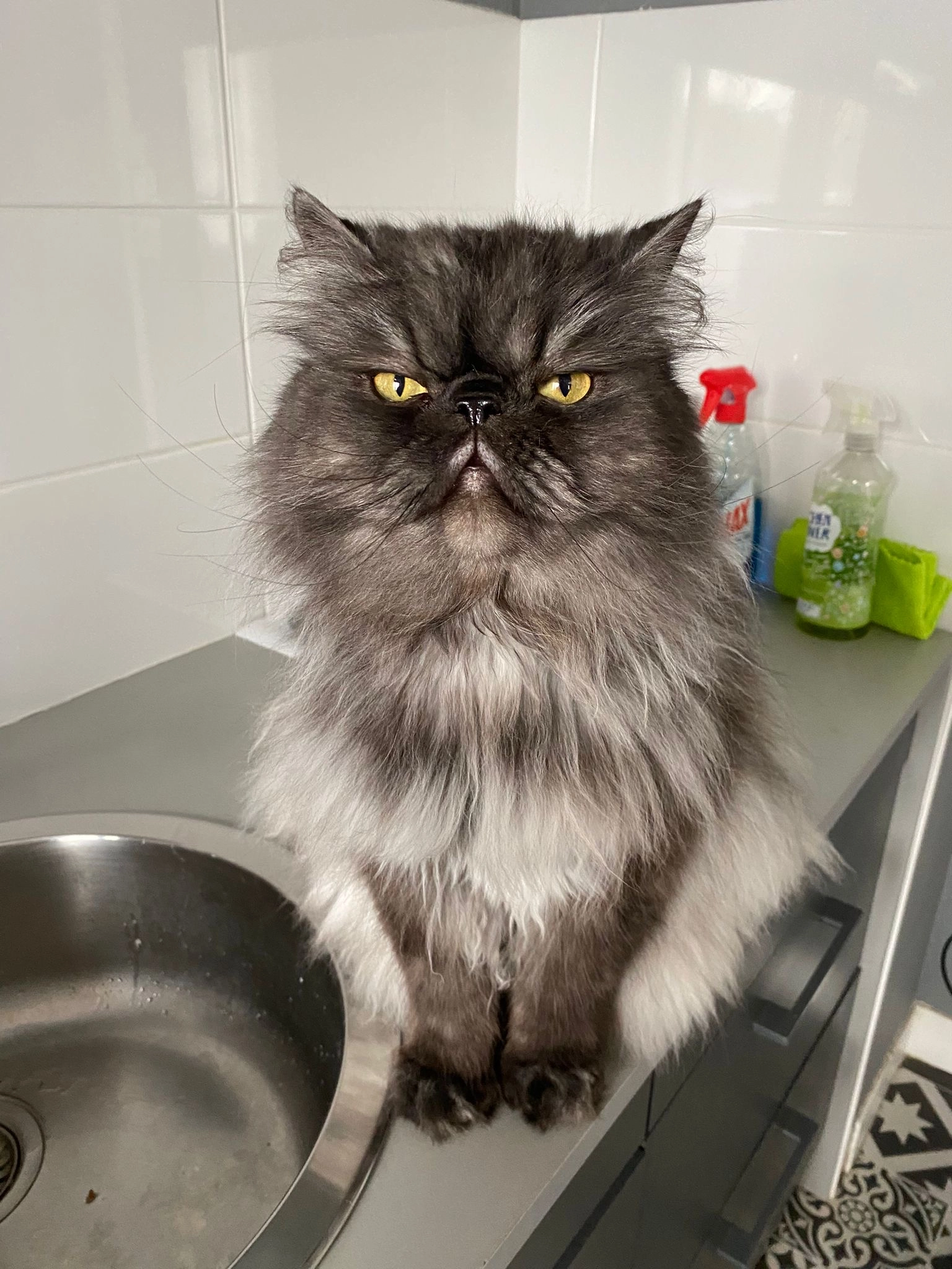 Onyx - Calle Ávila, Brunete