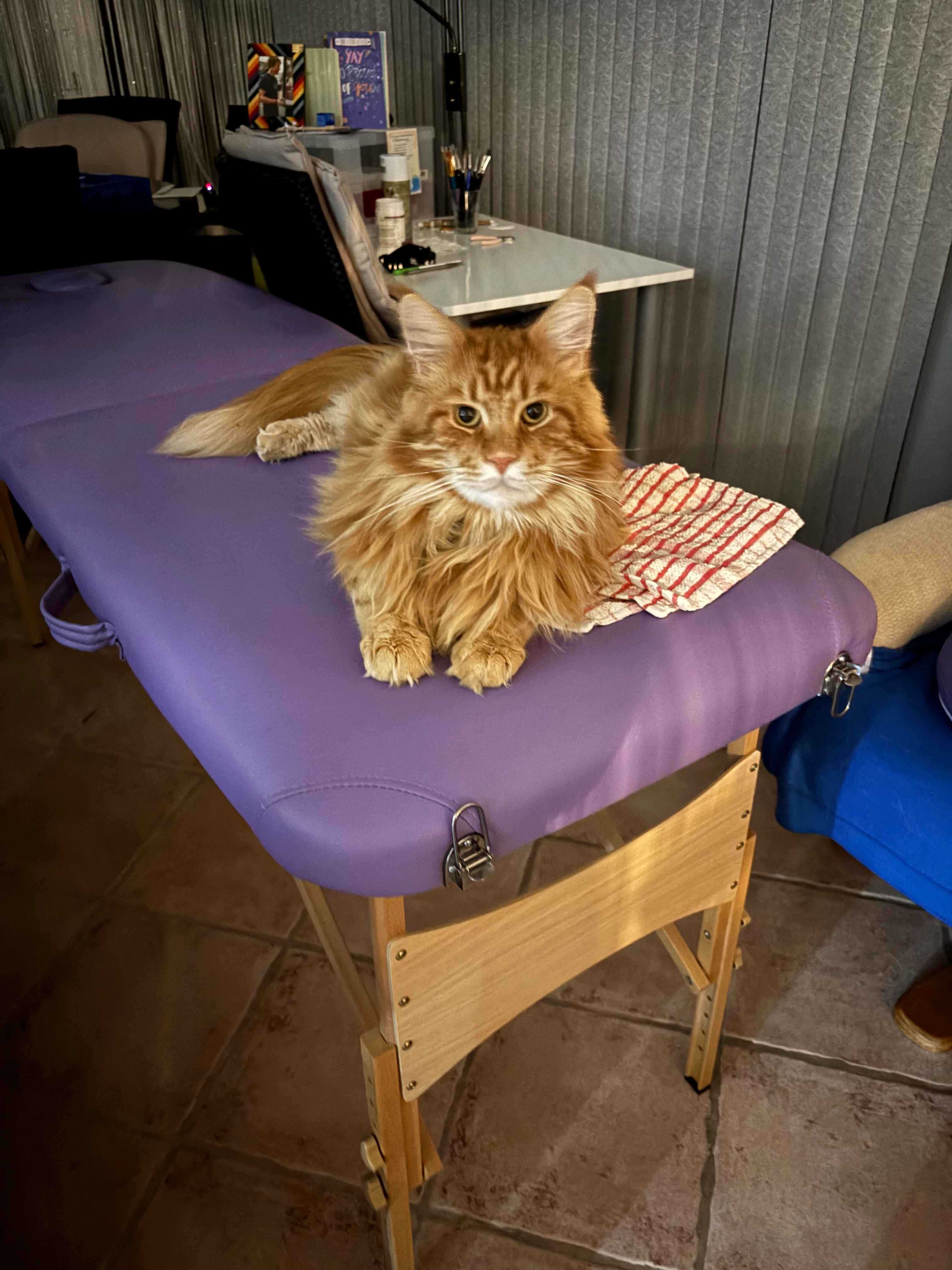 Kia - Brickberry Close, Peterborough