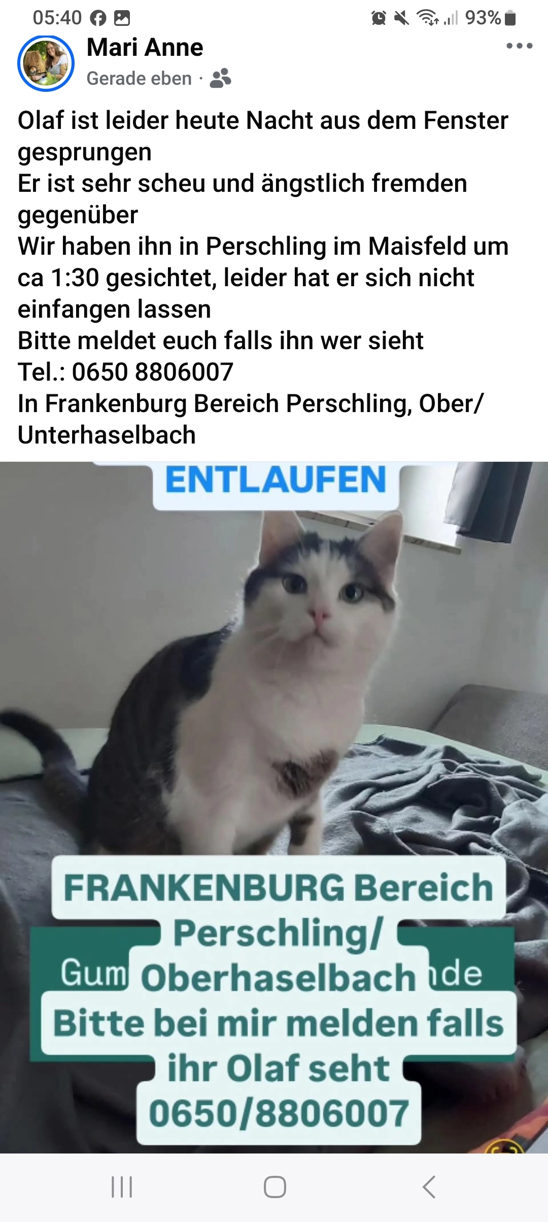 Olaf - Perschling 1, Frankenburg am Hausruck