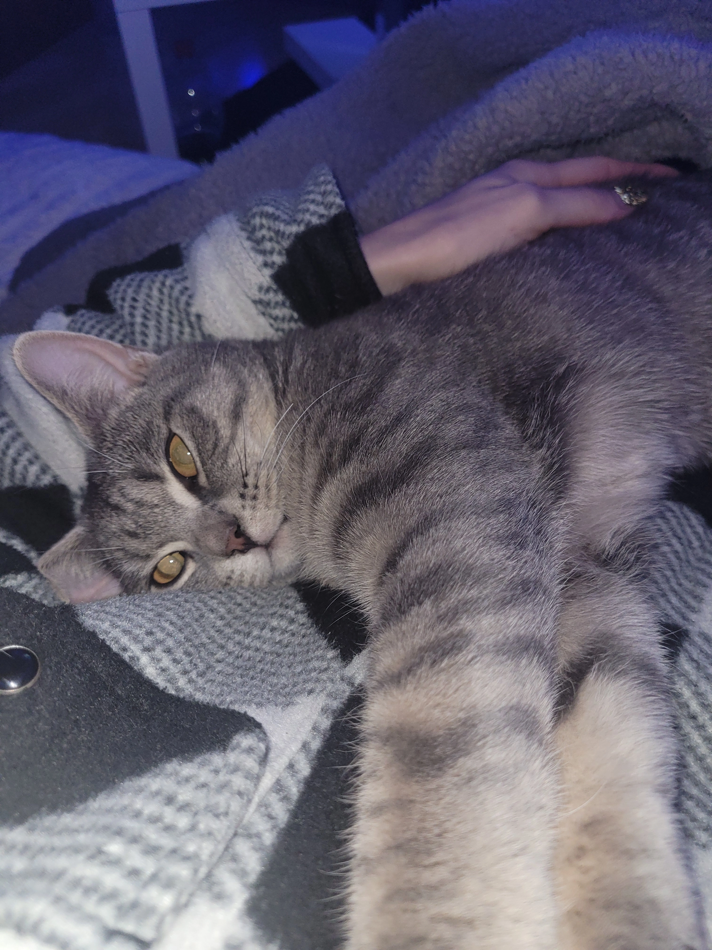 Rocky  - Deutschritterstraße, Heilbronn