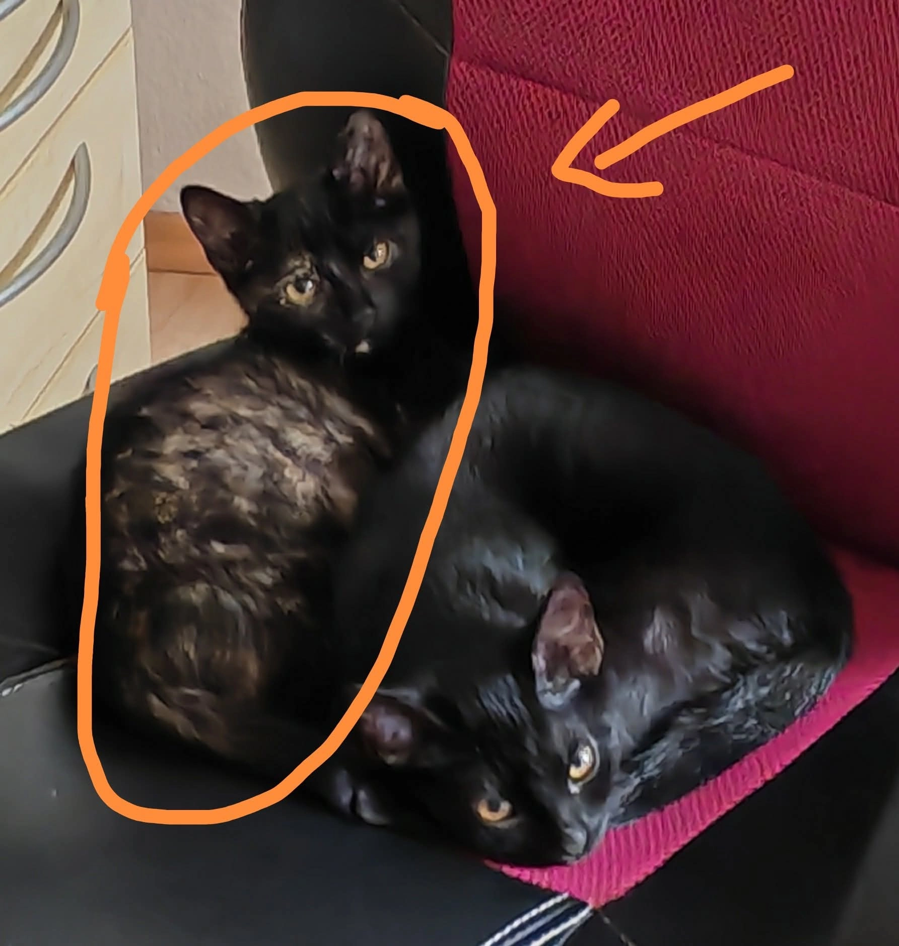 Chips - Obere Mühlenstraße 13, Stollberg/Erzgebirge