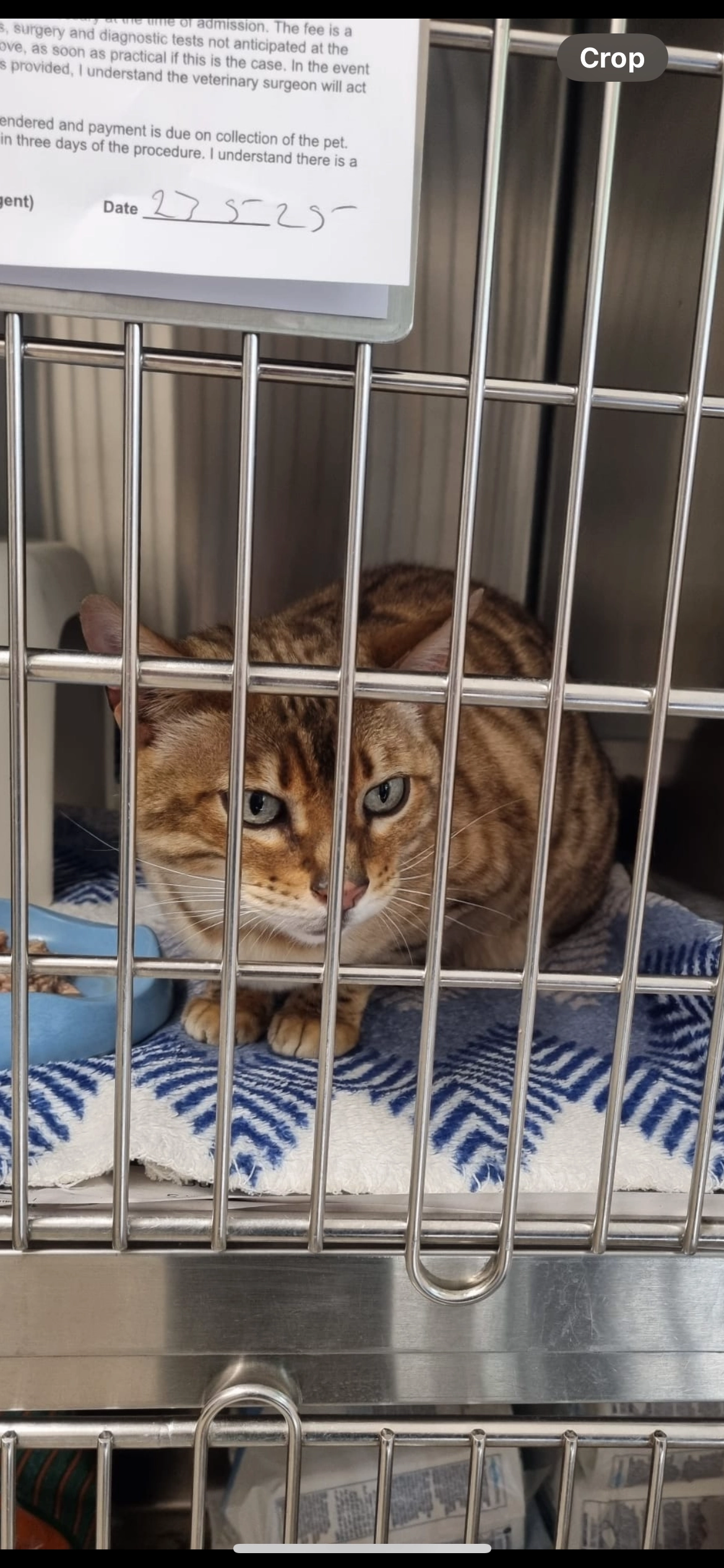 Lexi - Whinfield Road, Dibden Purlieu , Southampton