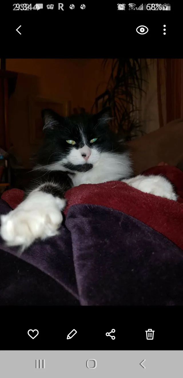 Sylvester - 18012 22nd Ave E, Tacoma (Spanaway)