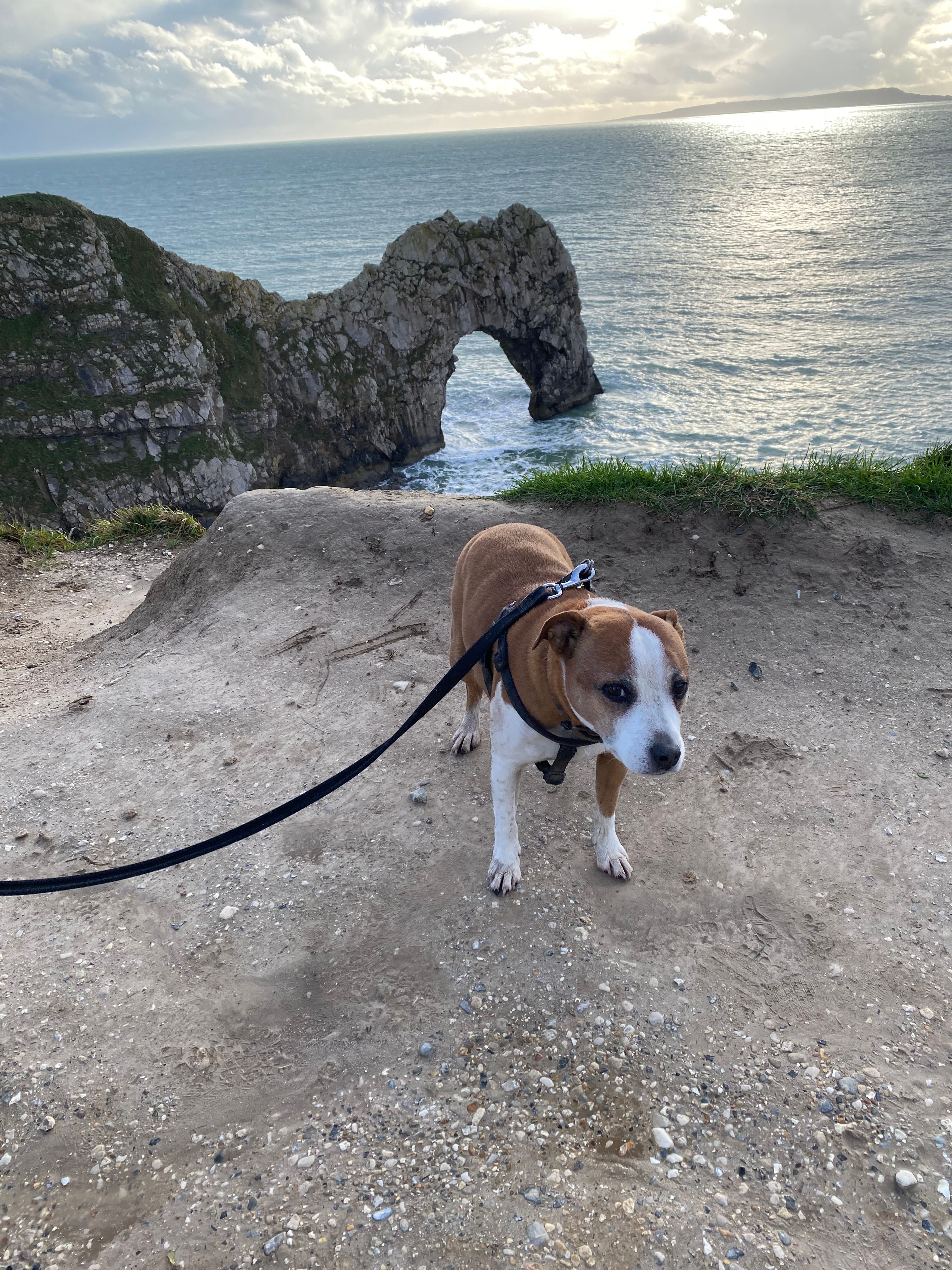 Bruce - Wash Road, Brentwood