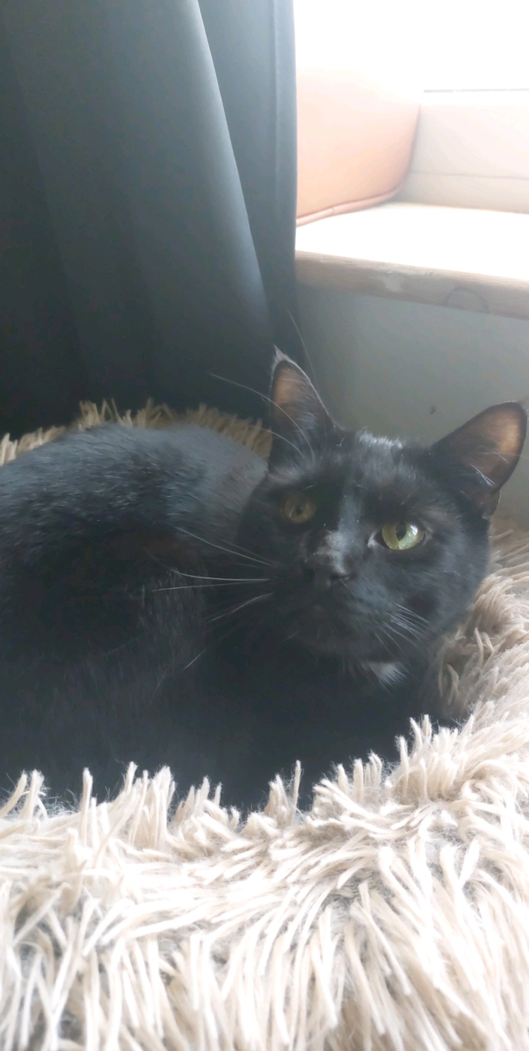 Wesker - Millfield Street, Swadlincote