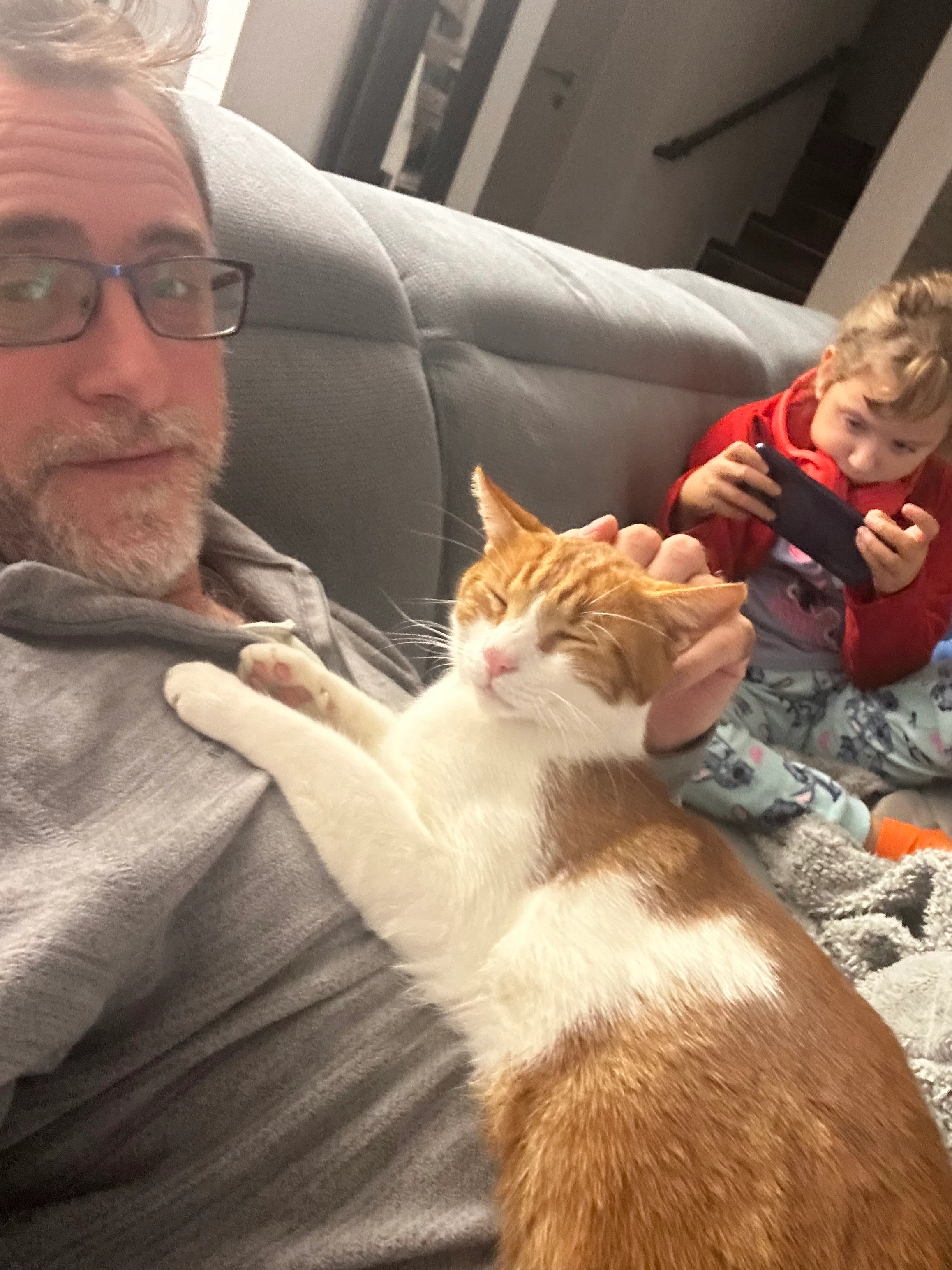 Leo - Via Sant'antonio, Annone di Brianza