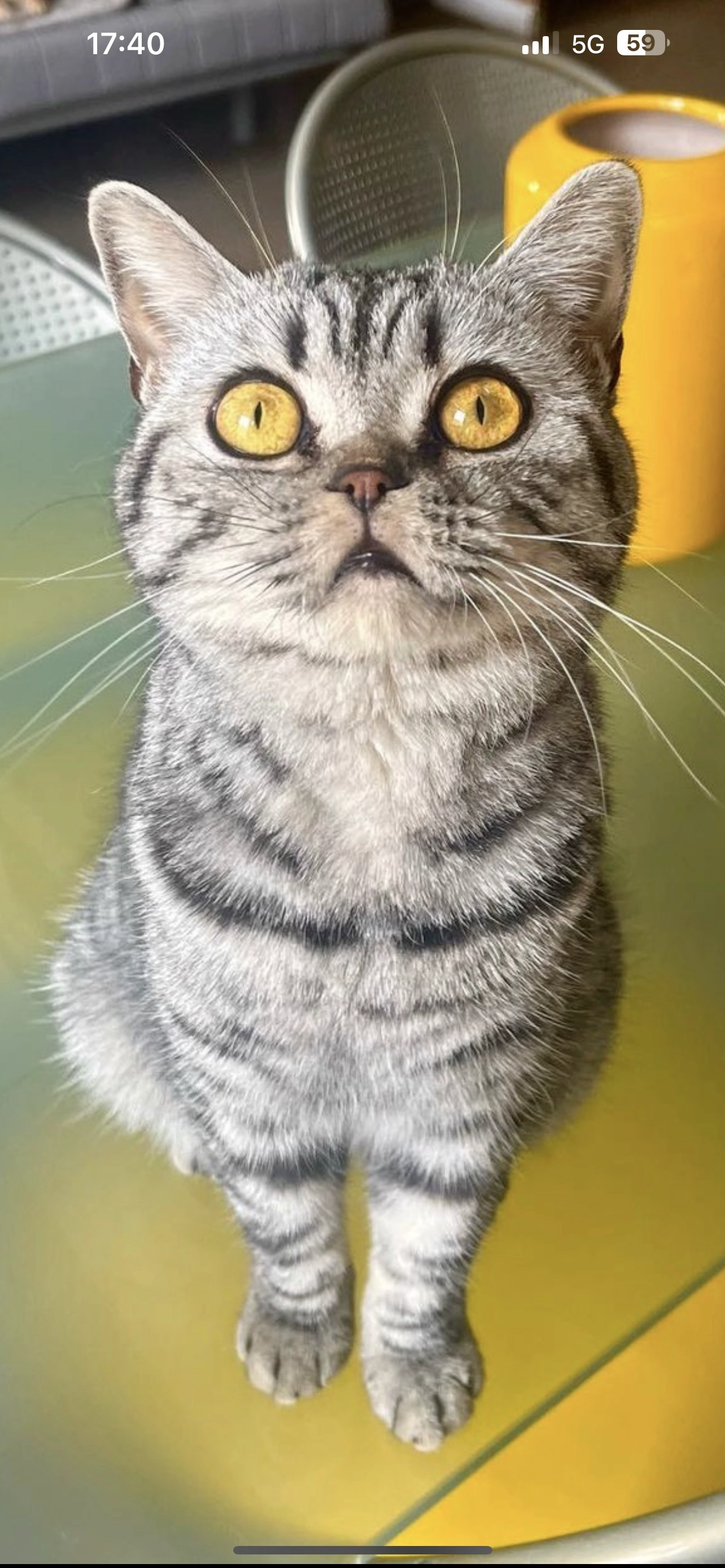 THENA - 8 Avenue Saint-Nicolas, Cannes