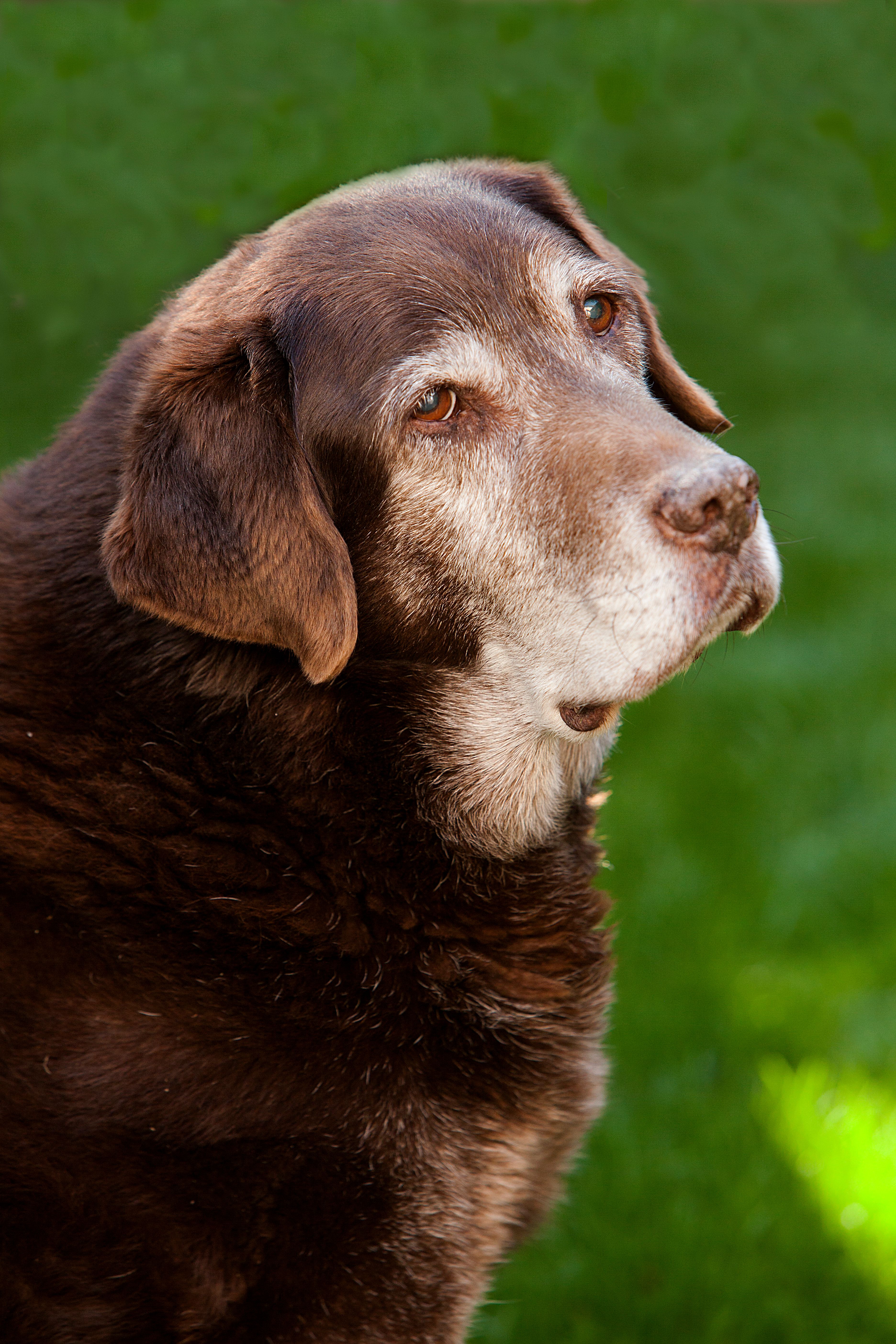Sjors (is doof) - Prins Hendrikstraat, Breda