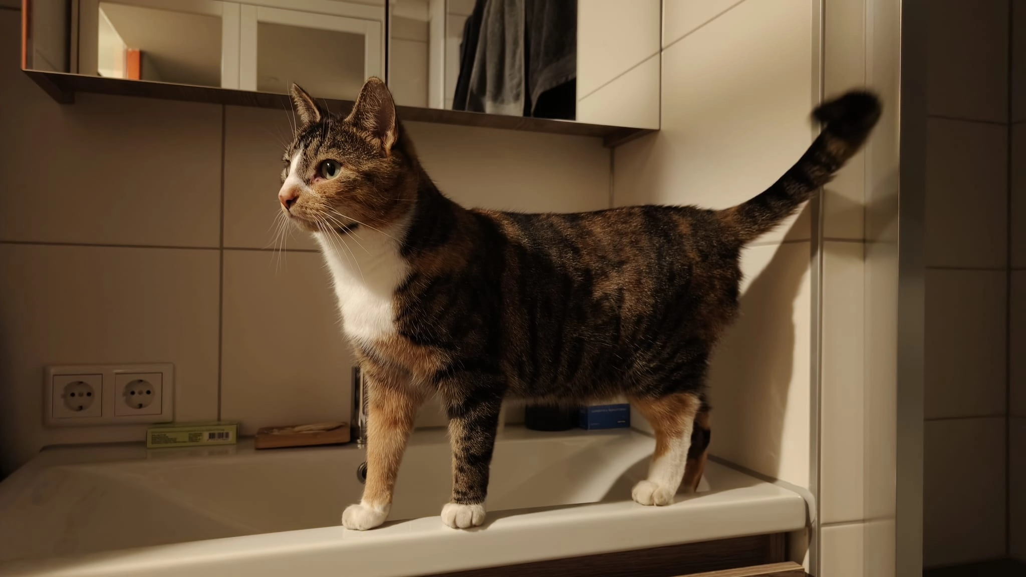 Cookie - Dokter Kanterslaan, Grave