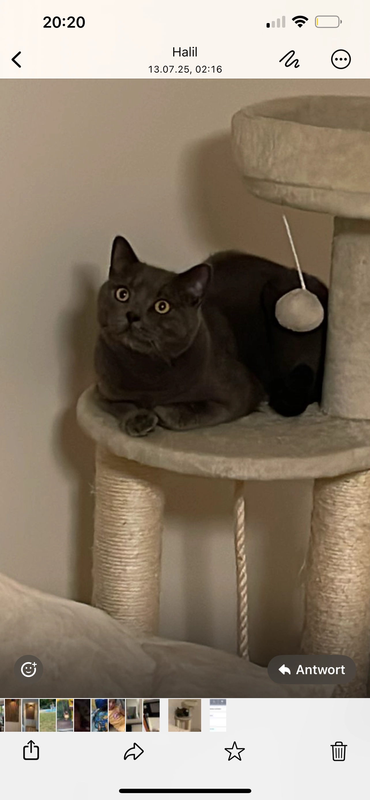 Zaza - Wandstraße, Grünbach am Schneeberg