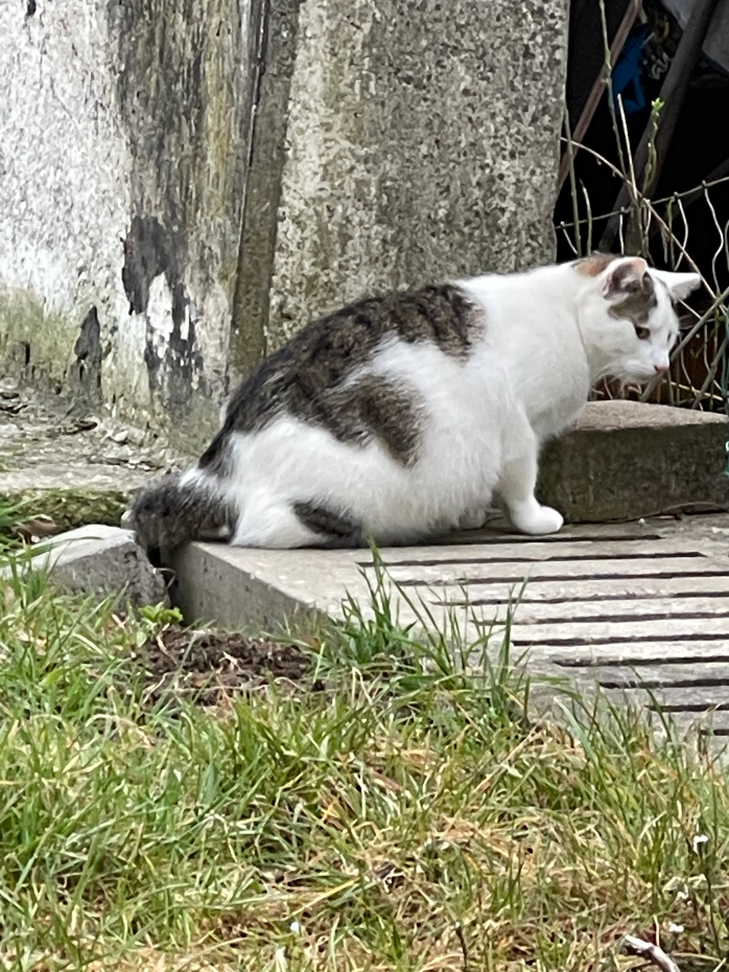 Xaver - 89299, Unterroth