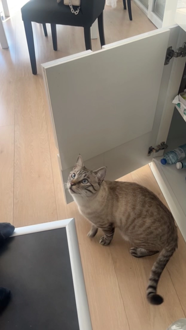 Winki - Rue du Maréchal Leclerc, Décines-Charpieu