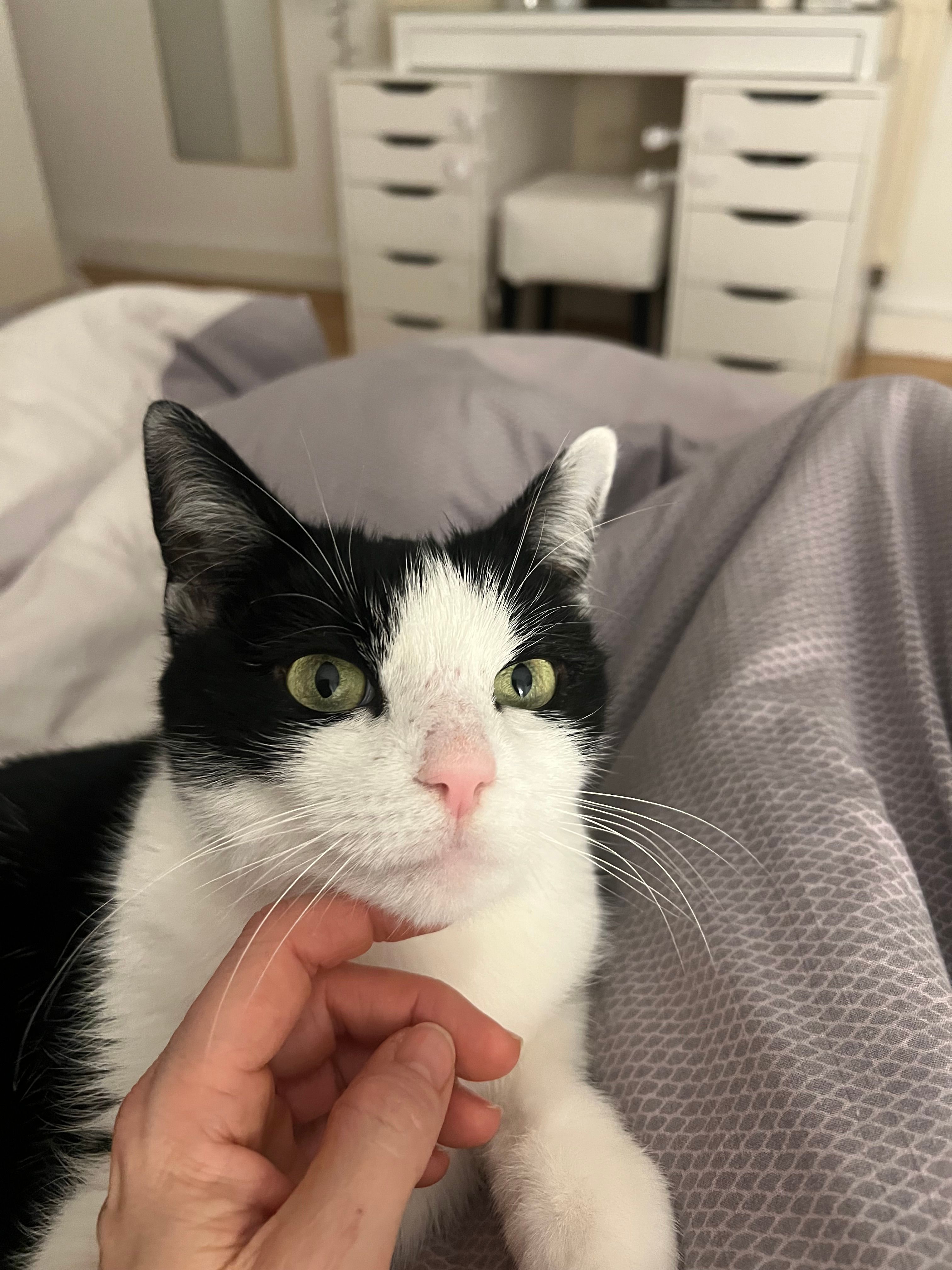 Susi oder mucki - Maria-Ward-Straße, Altötting