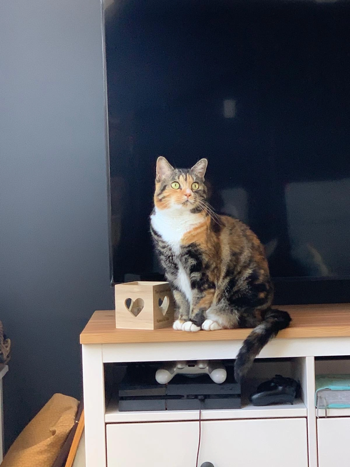 Flavie - Dorpsstraat, Sint-Laureins