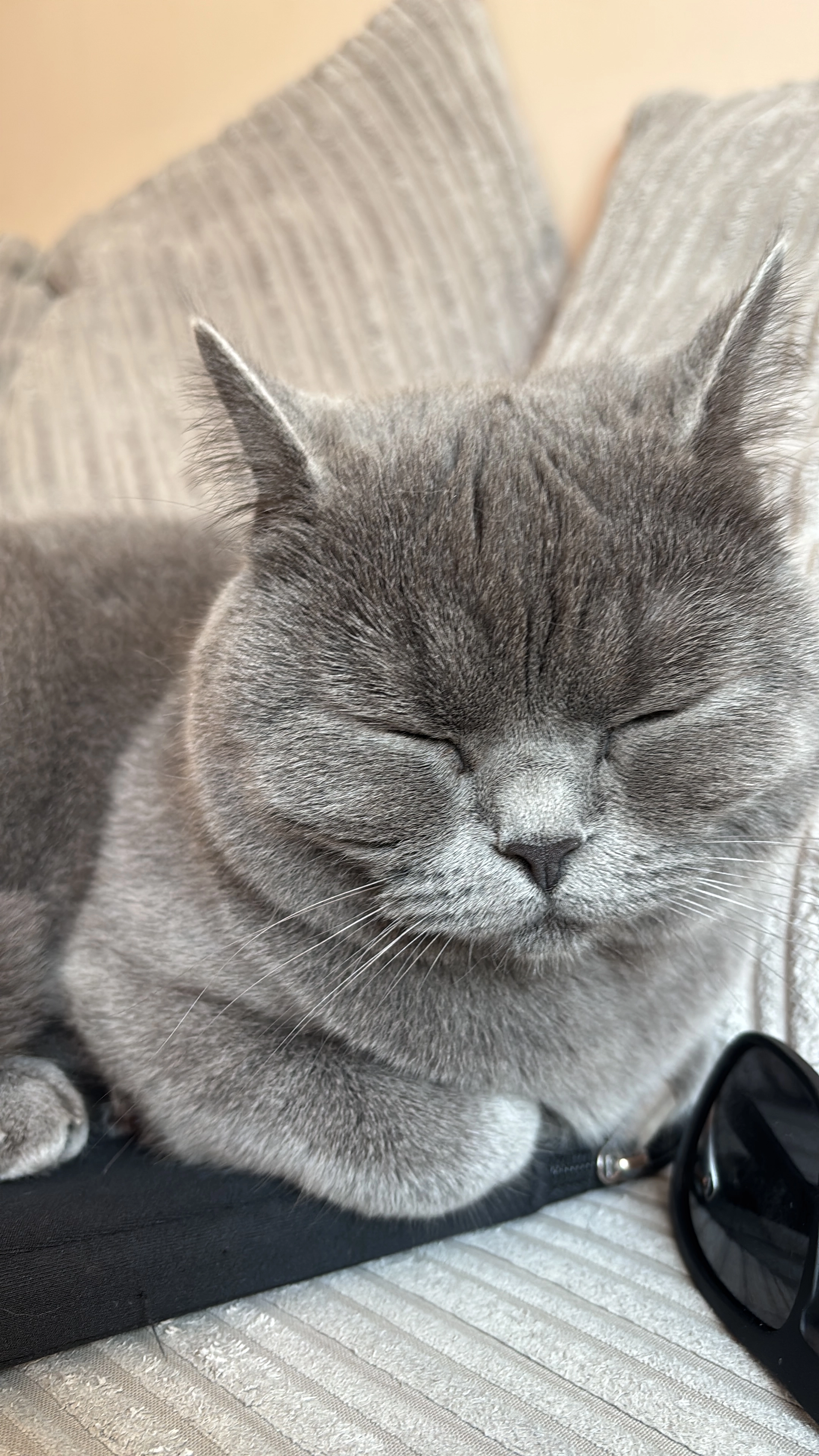 Luna  - Inglewood Estate, Otley