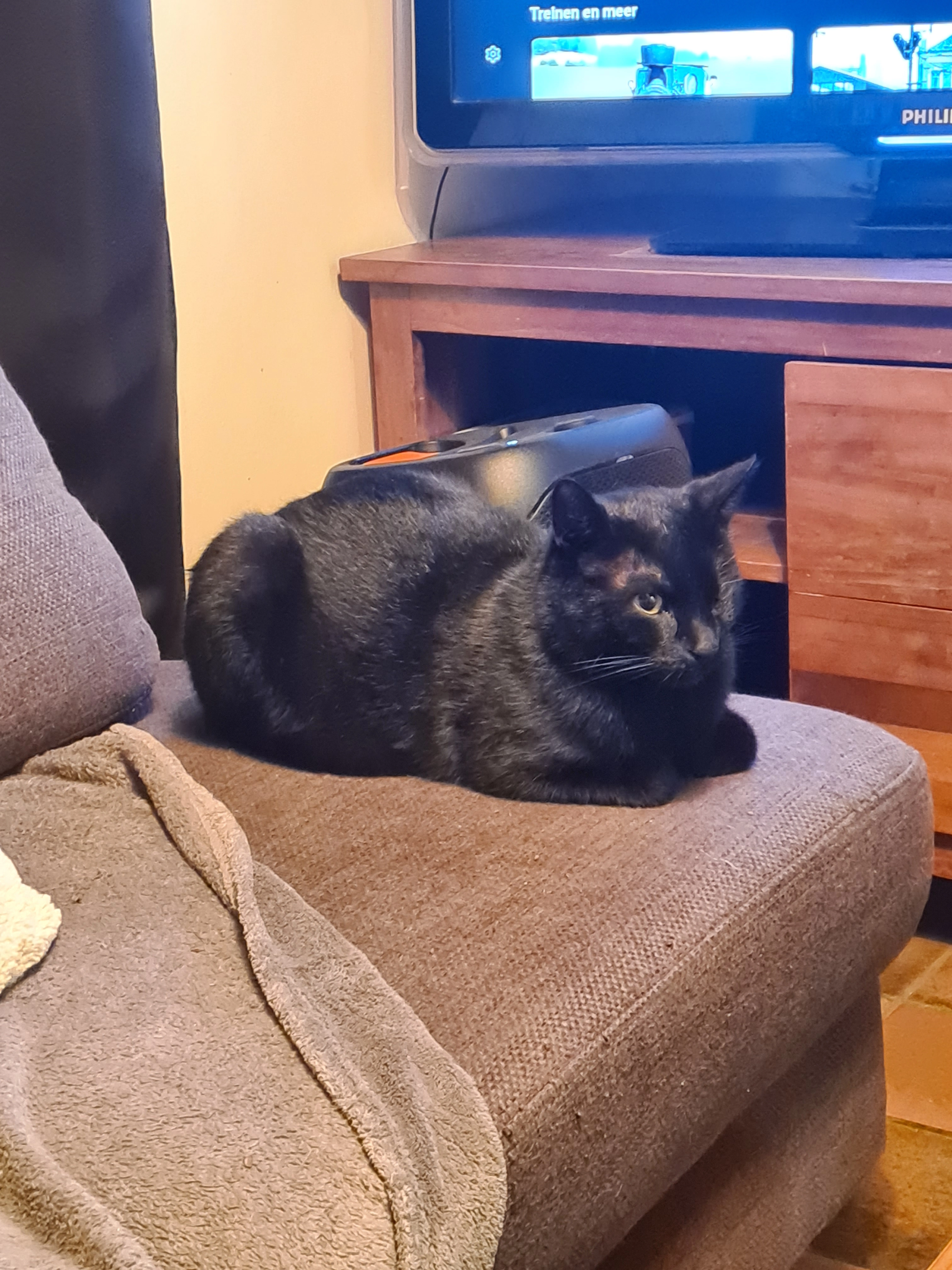 Dito - Ulftseweg, Silvolde