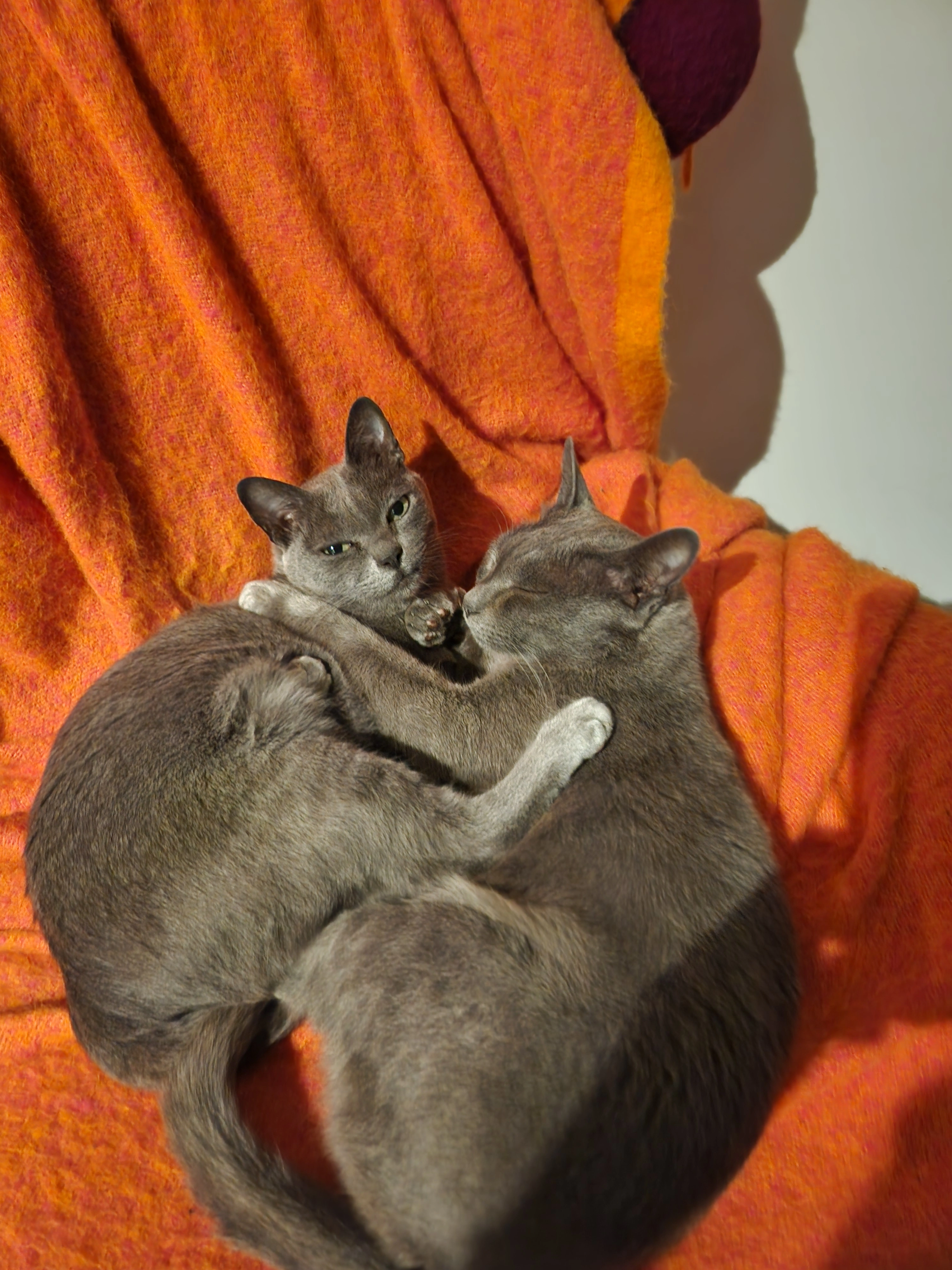 Mysti - Ruelle Minsart, Incourt