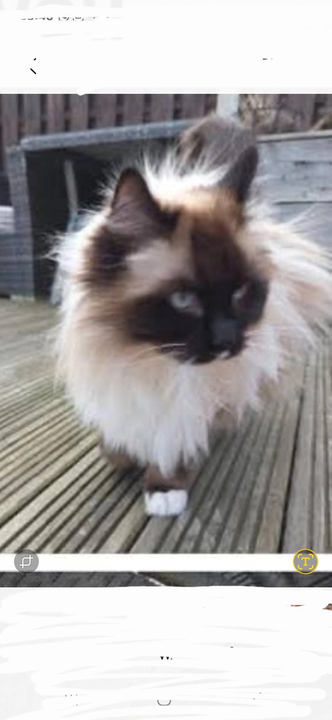 Storm - Armitage Road, Sheffield