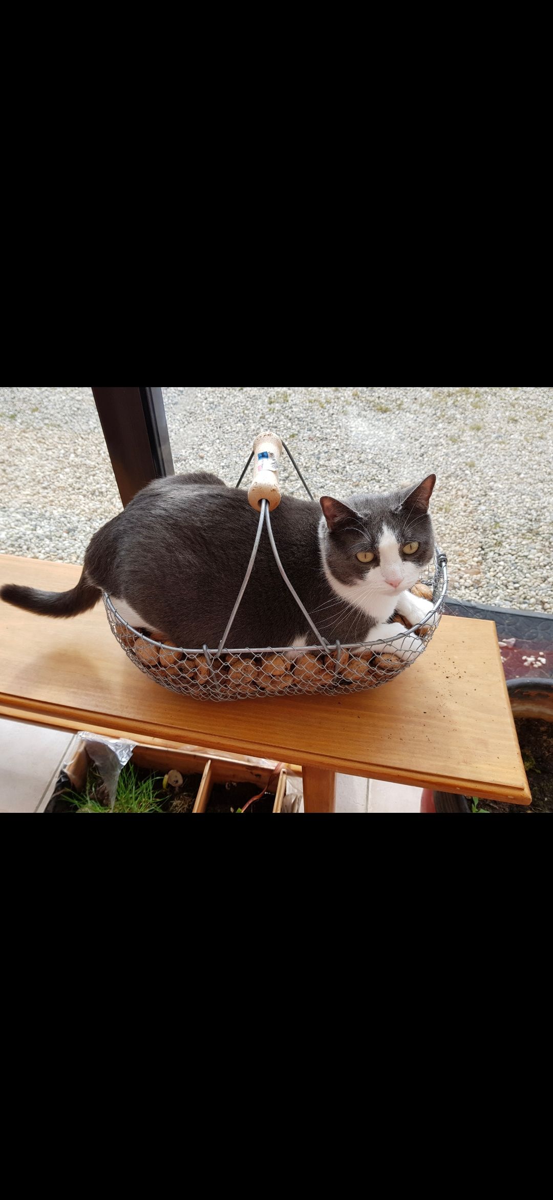 Caresse - 4 Rue des Vallées, Cesny-les-Sources