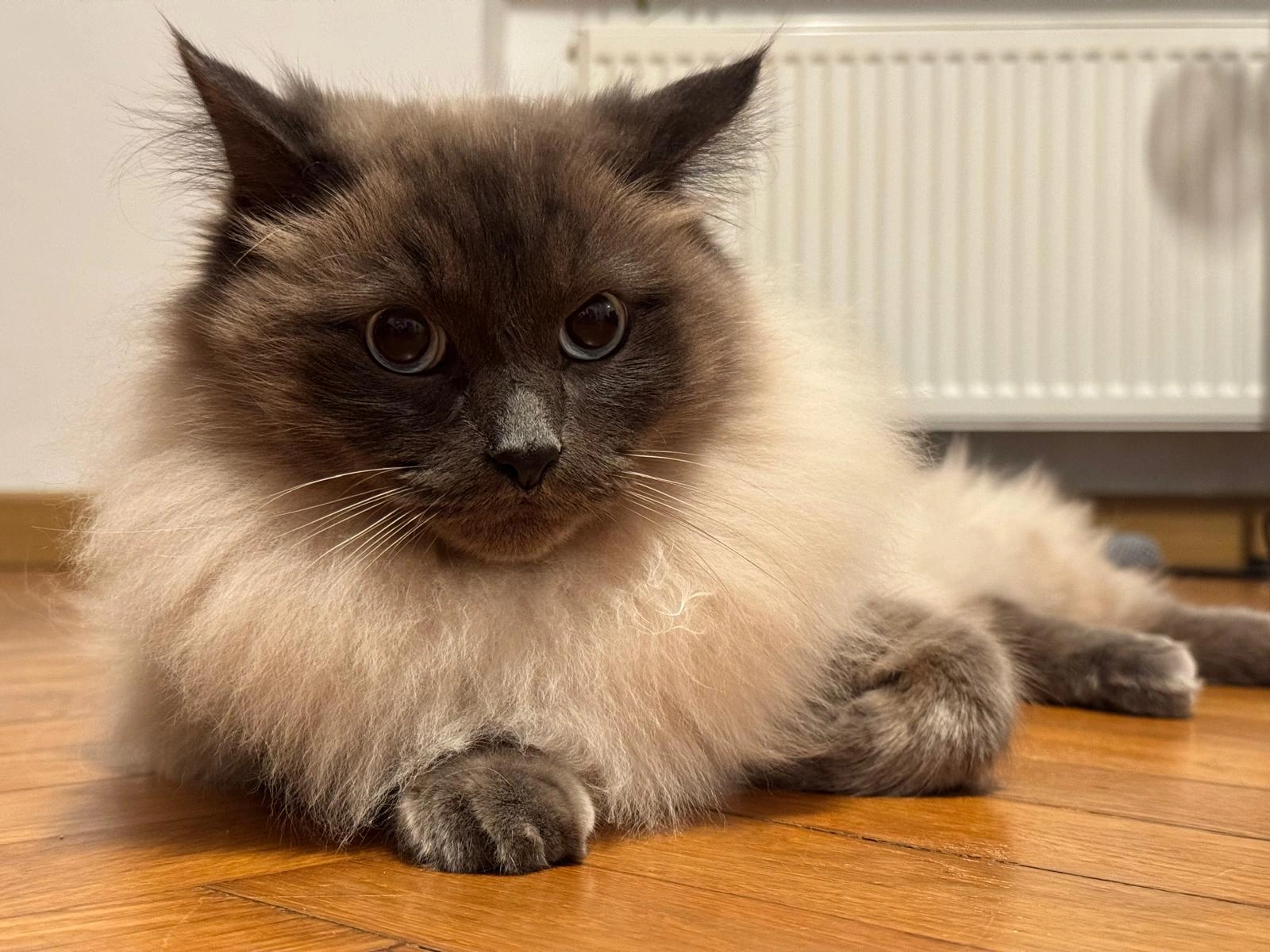 Emil - Roritzerstraße, Regensburg