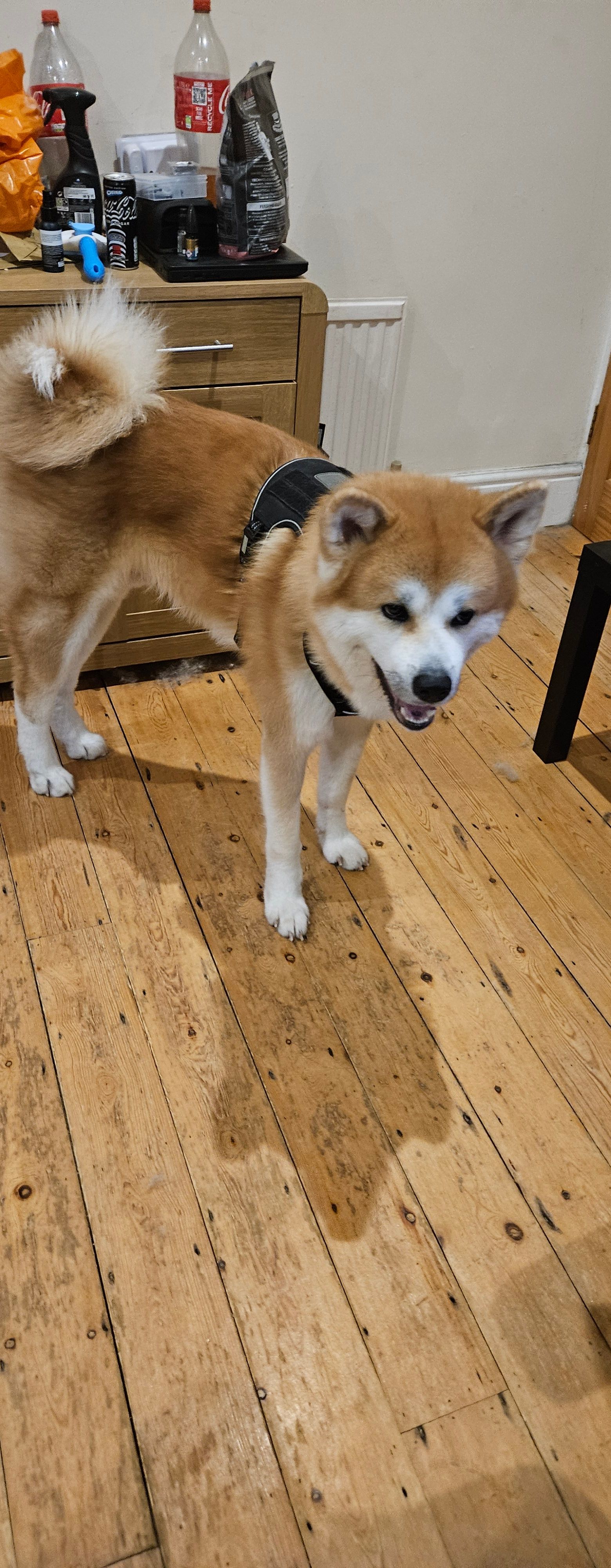 Aki - Kings Avenue, Redhill