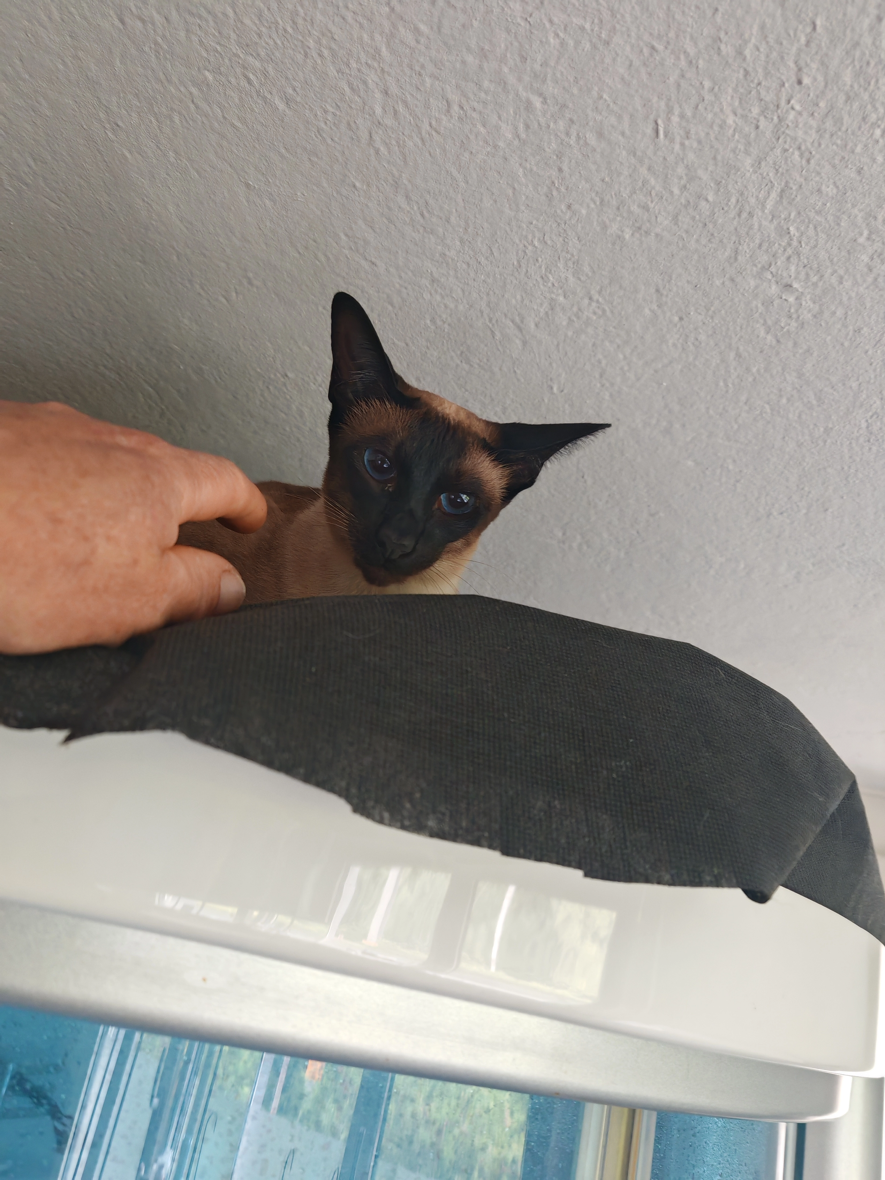 Feiwi - Hungerbühl, Neuenkirch