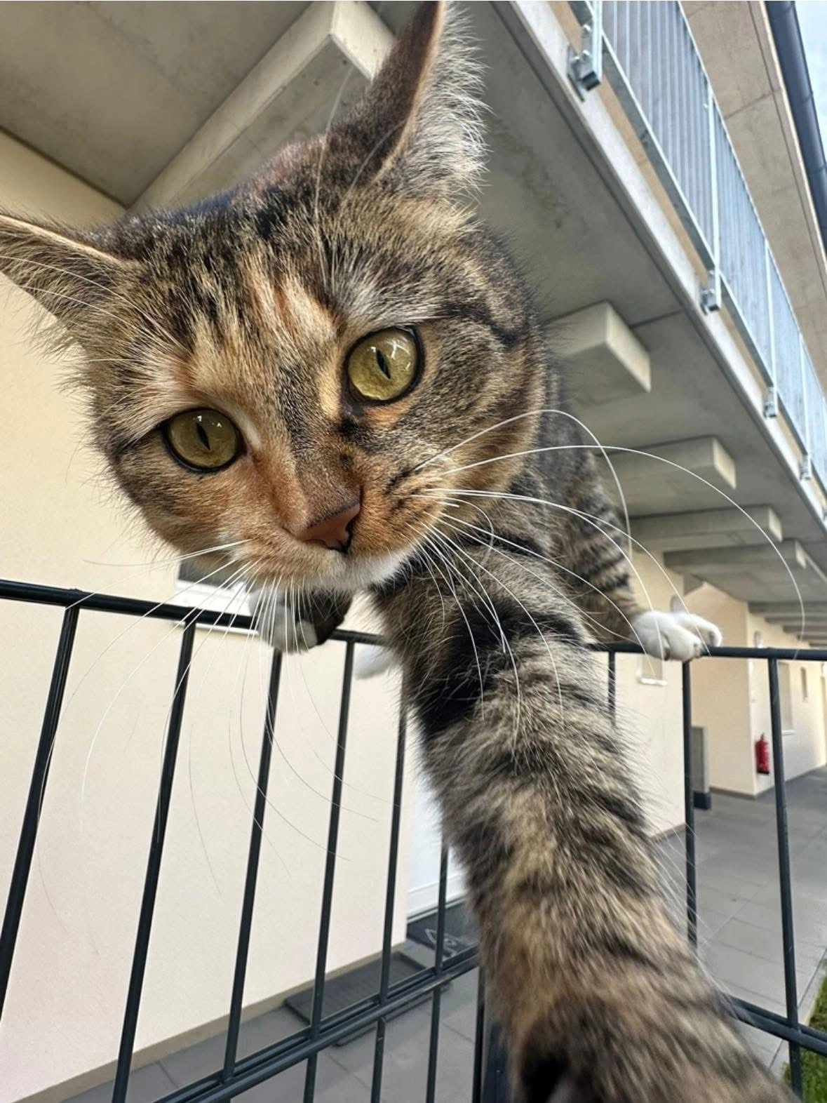 Emmy - Fasangasse 8, Kalsdorf bei Graz