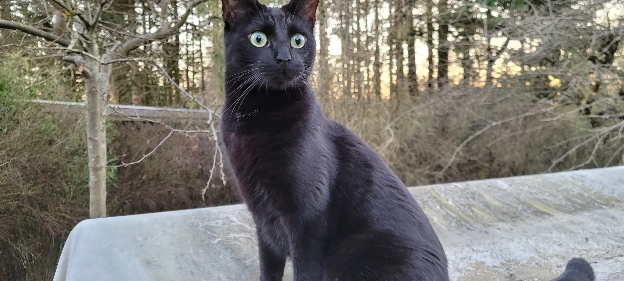 Luis - Tulipanvænget, Lille Skensved