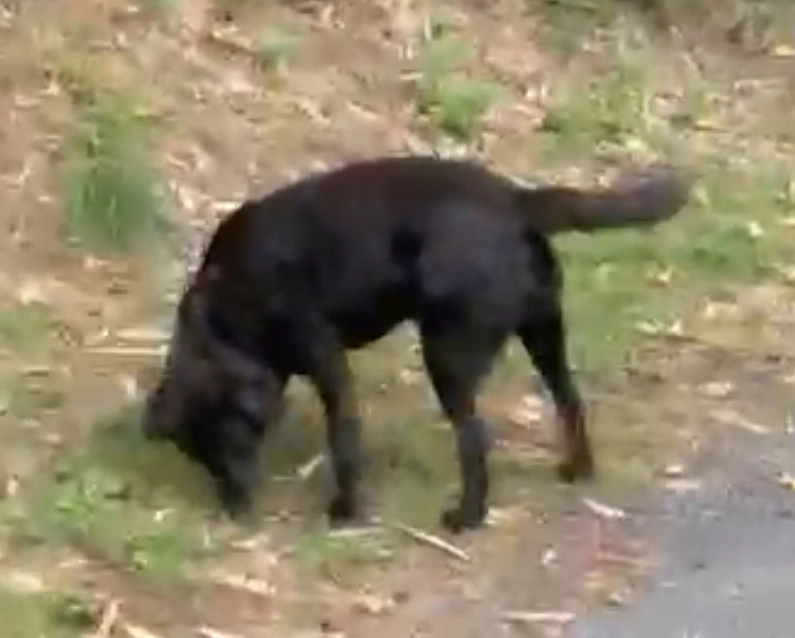 Only - 22550, Saint-Pôtan