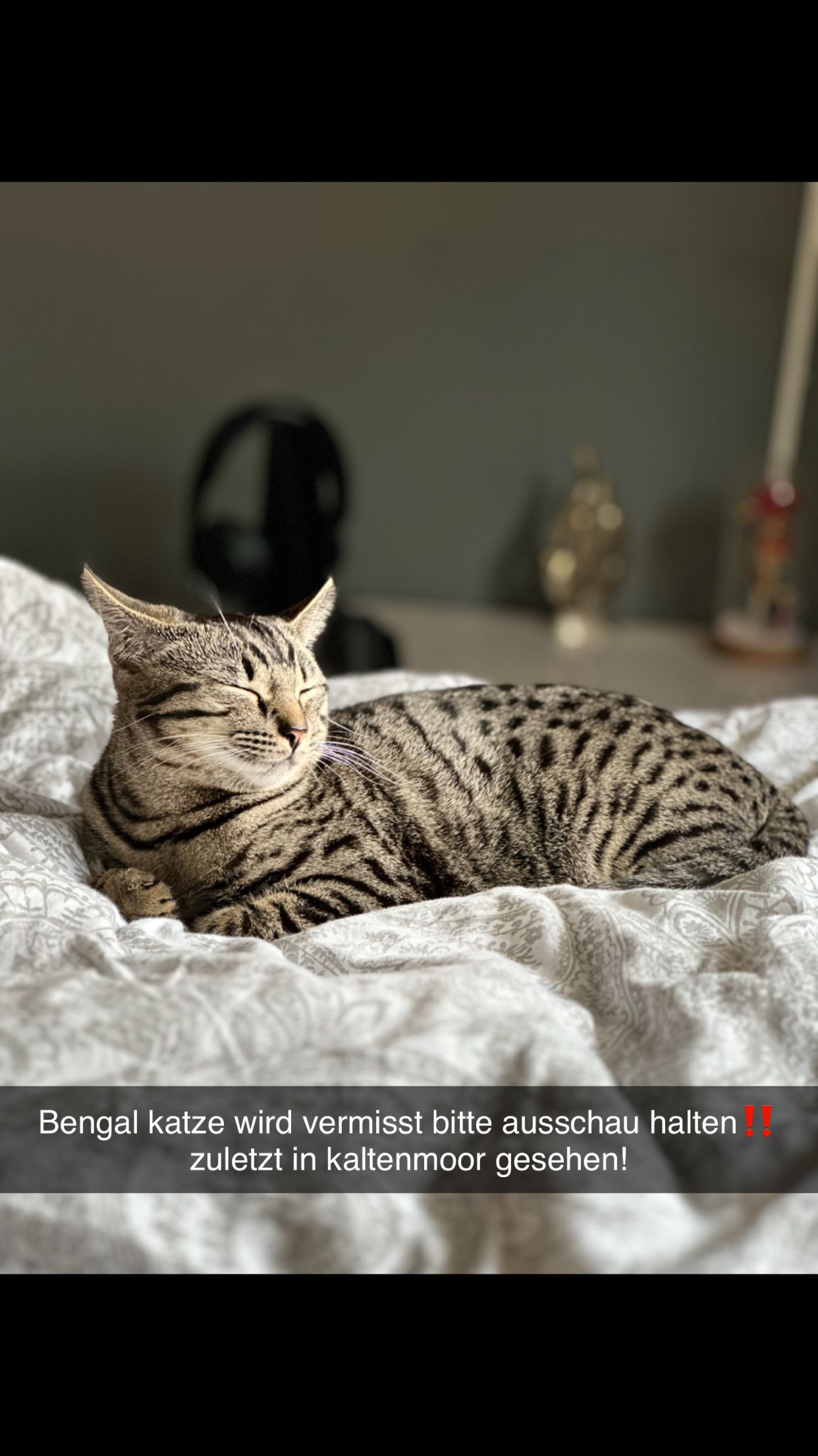 Kylie - Wilhelm-Leuschner-Straße, Lüneburg