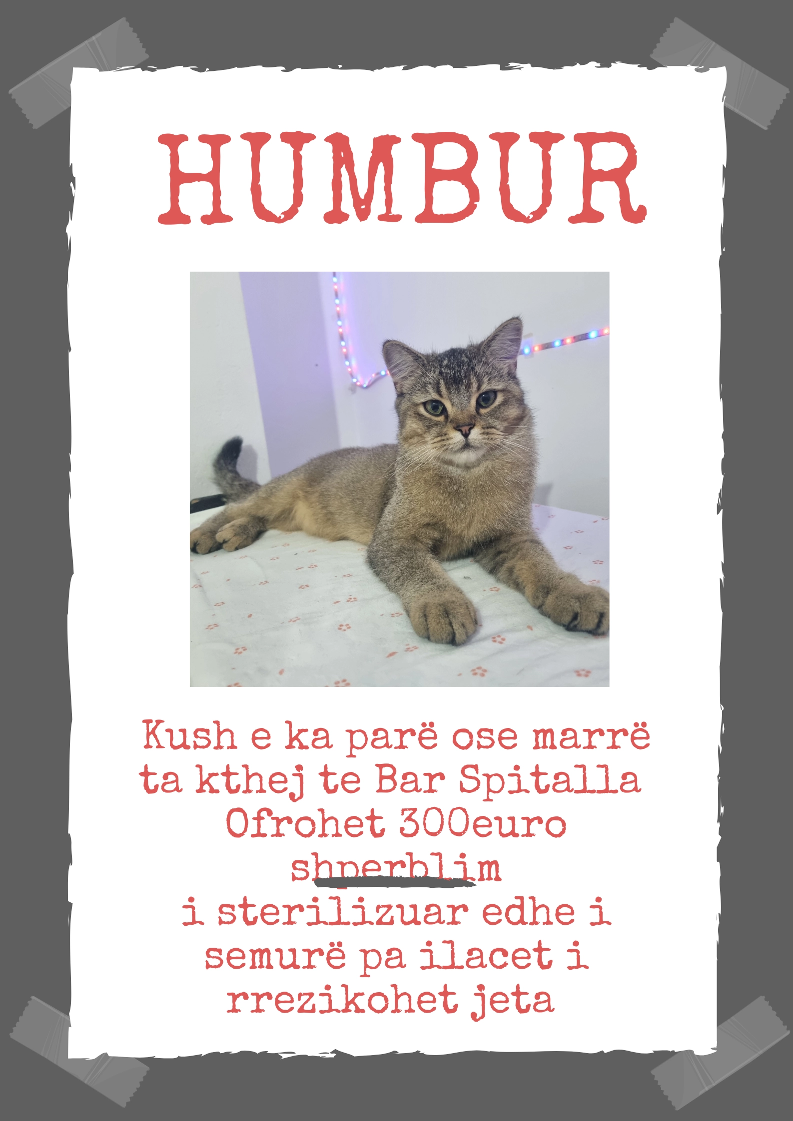 Bitishi - Rruga Ciceroni, Durrës