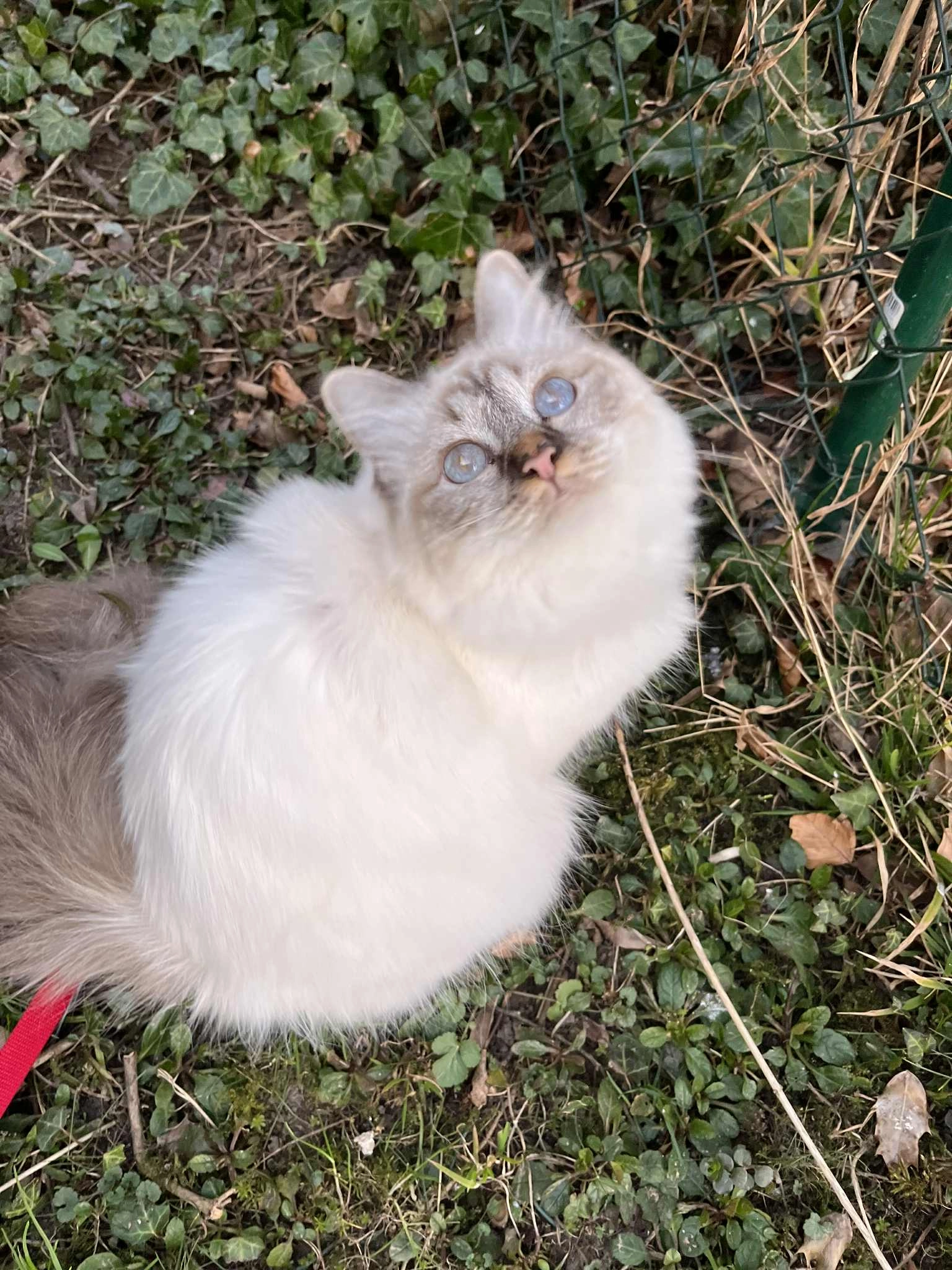 Milky - Ernsdorfer Straße, Prien am Chiemsee
