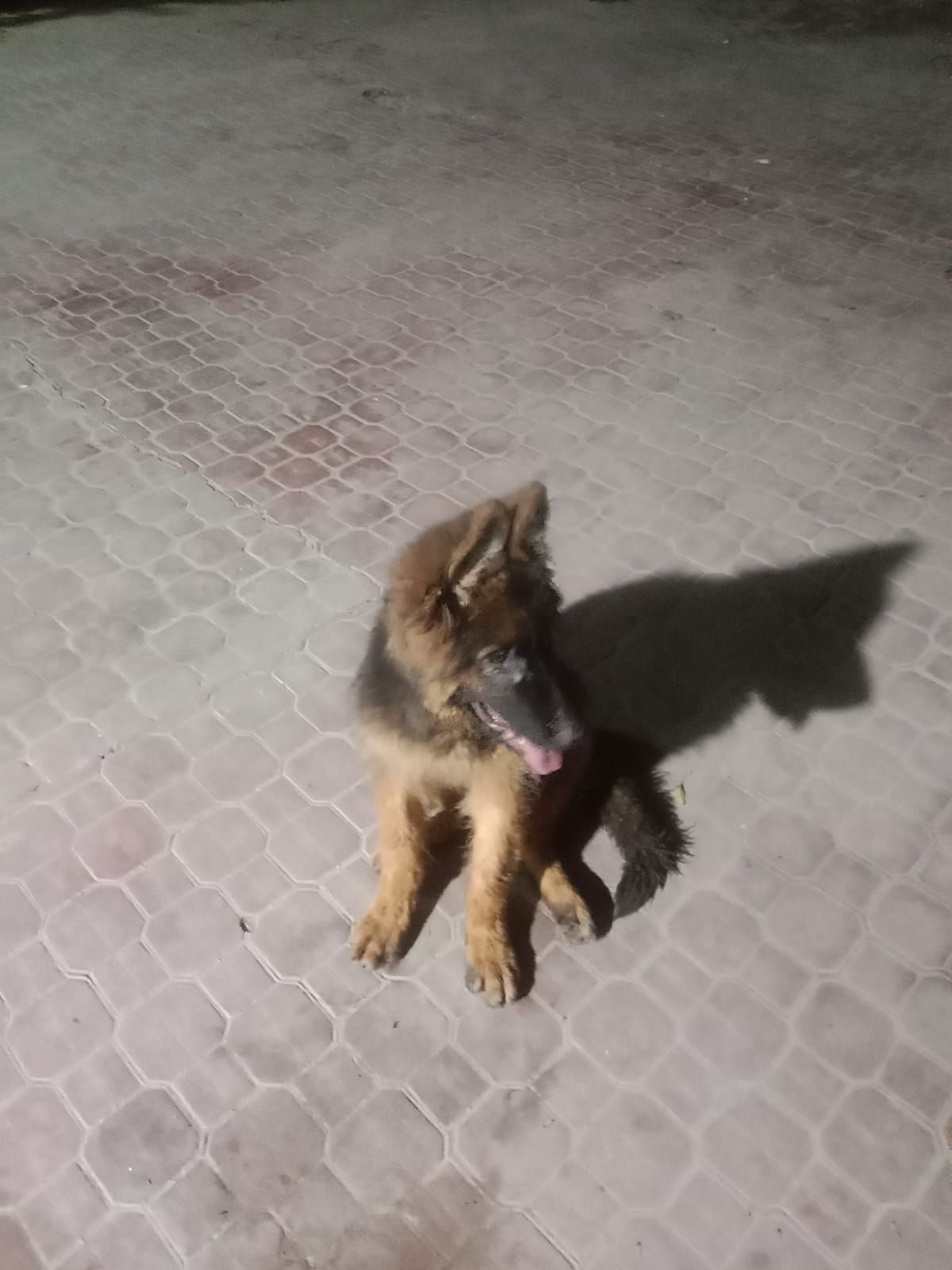 Soka - Kacheri Chowk, Rawalpindi