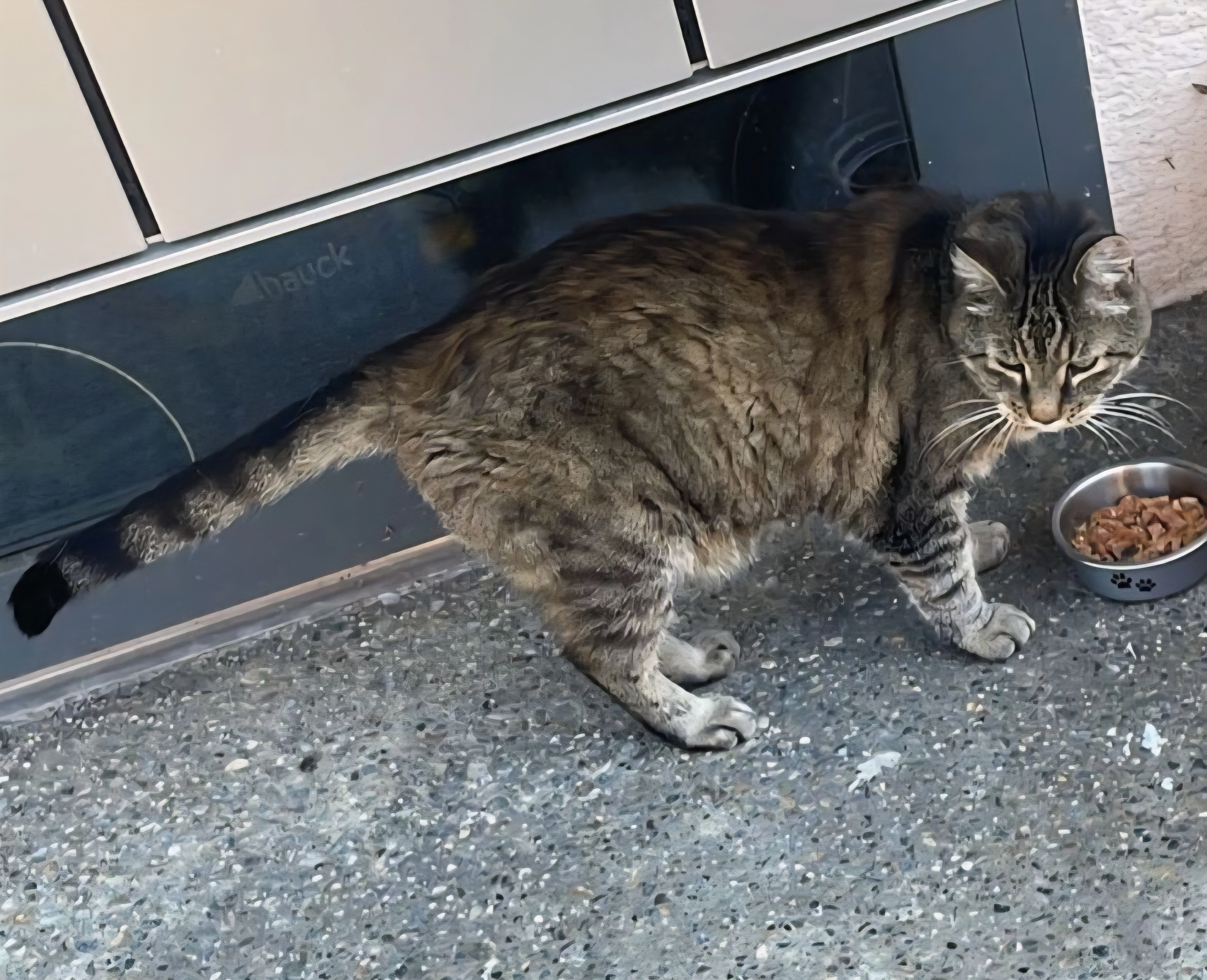  Charlie - Sunneweg 3, Wädenswil