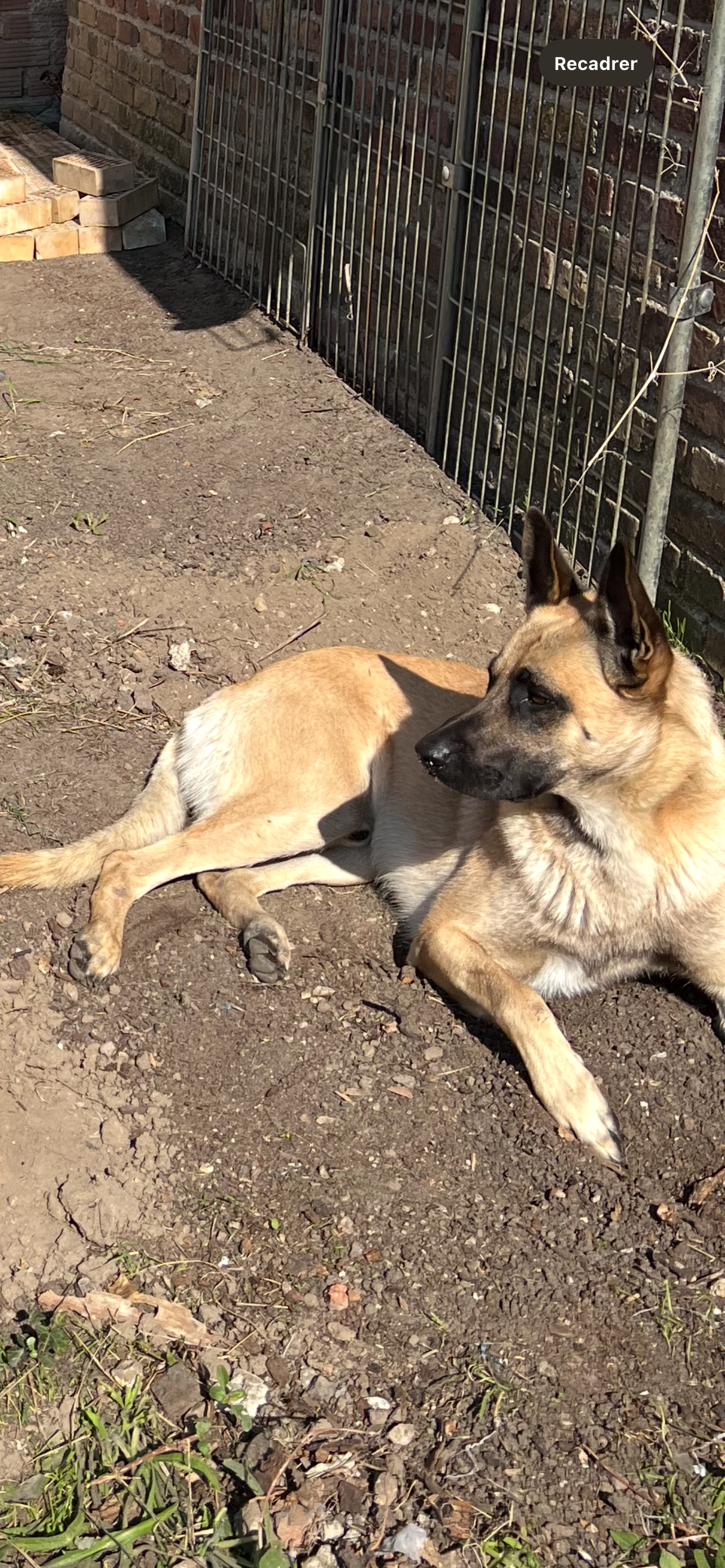 Ice - Quai de Seine, Triel-sur-Seine