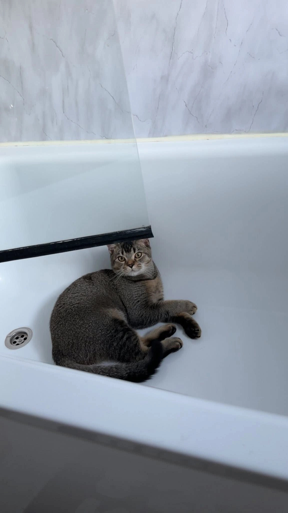 Leo - Llewellyn Walk, Corby