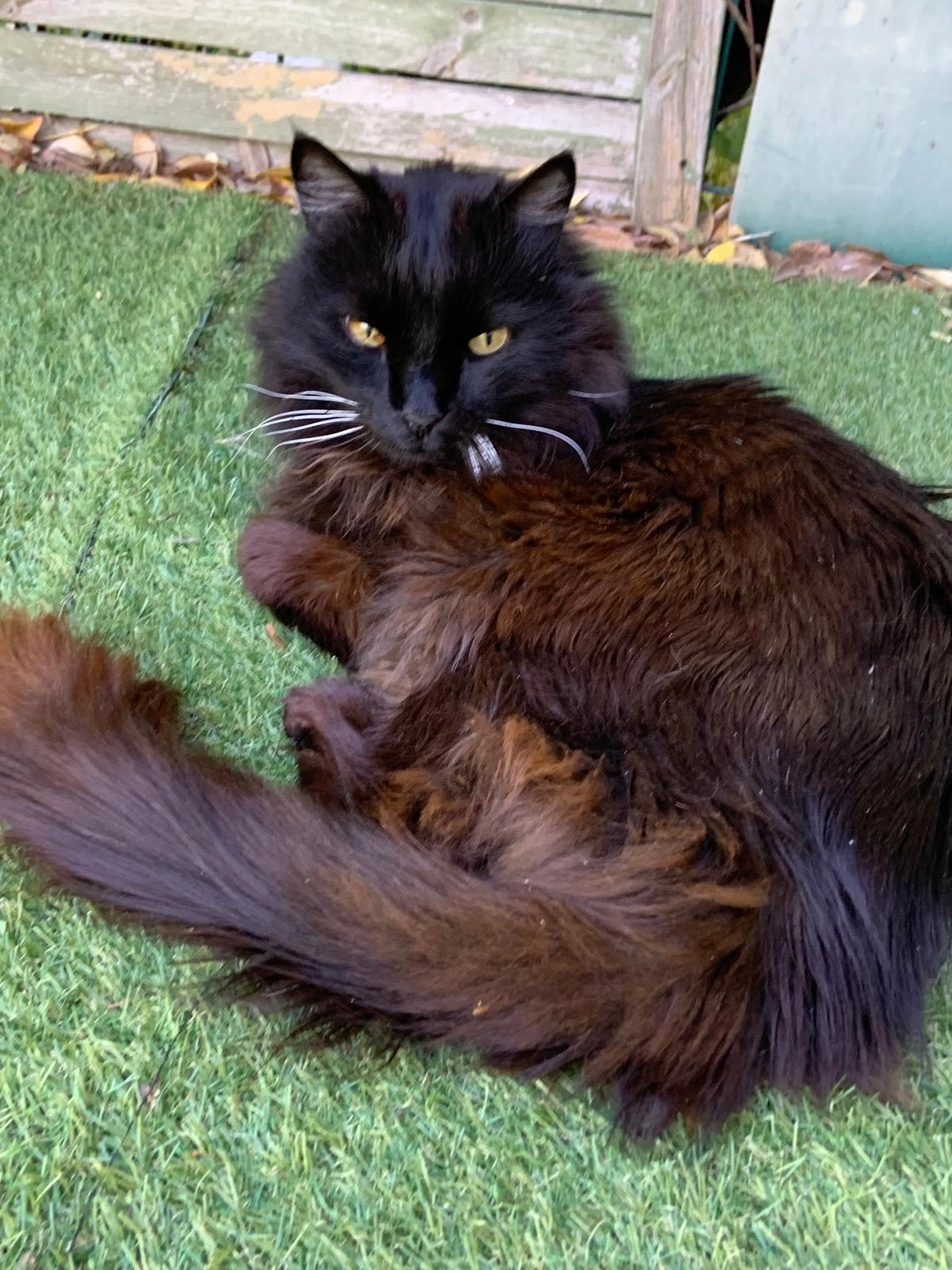 Eiko - 536 Rue Maurice Fayet, Nîmes