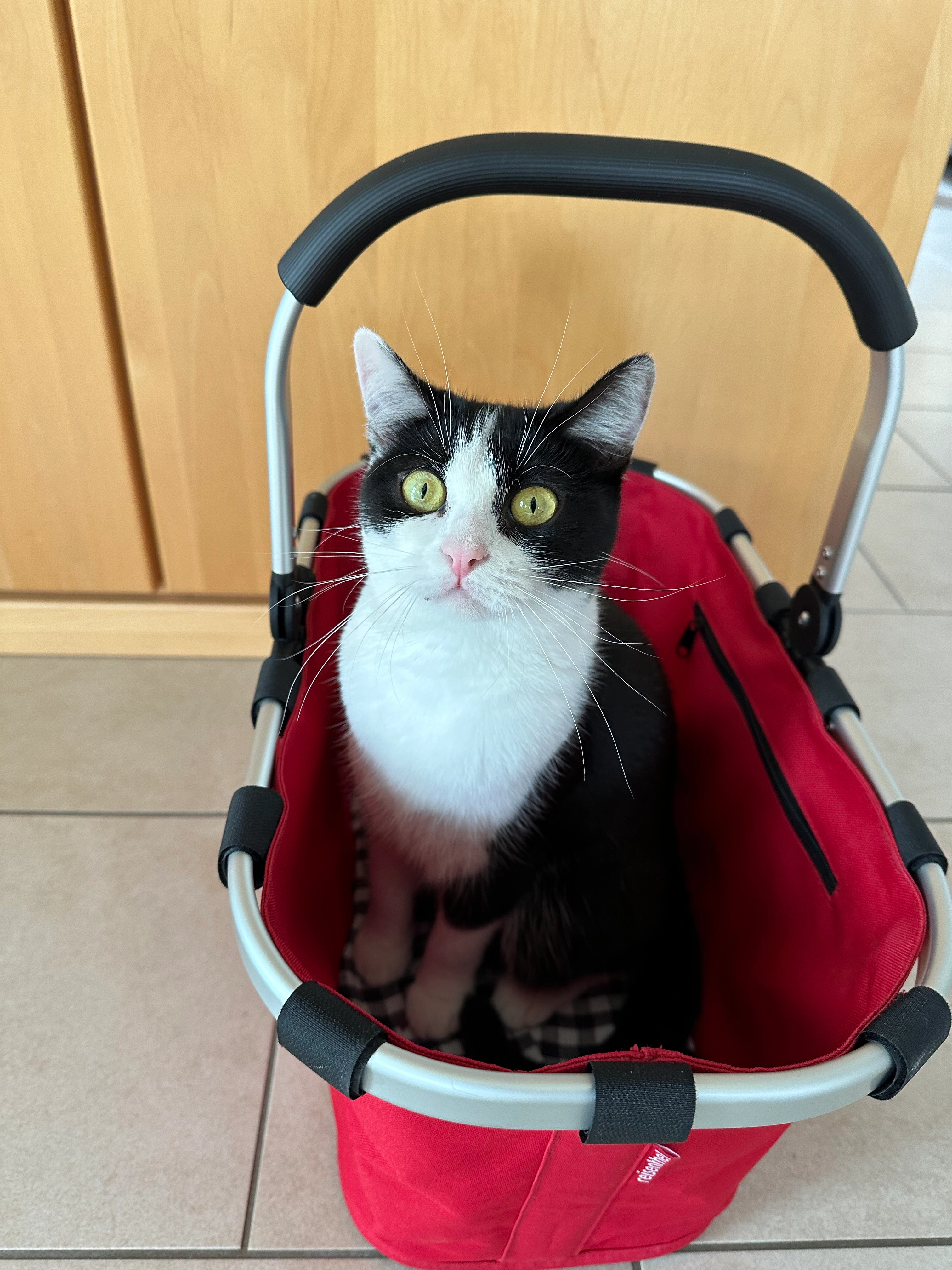 Peggy - Theodor-Heuss-Straße, Sprendlingen