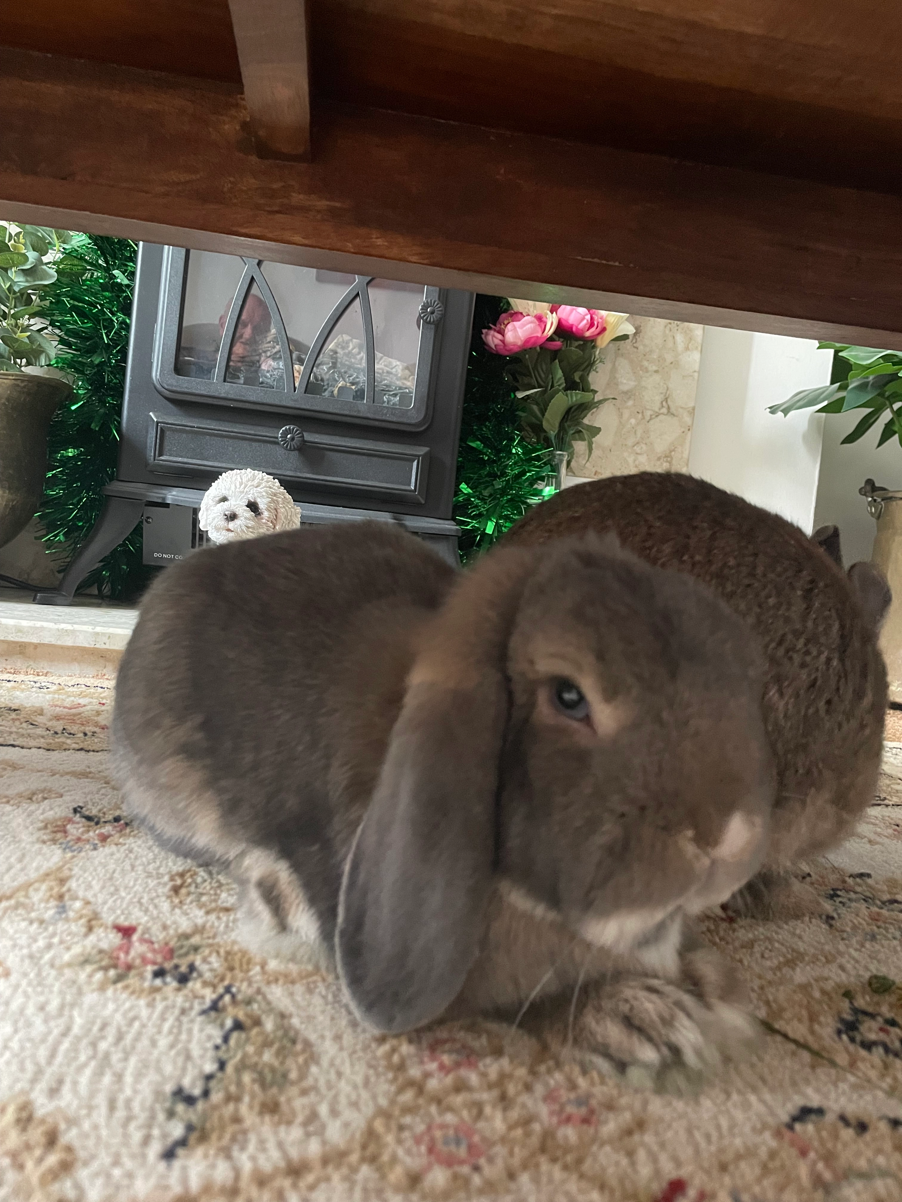 Bao - Rothbury Court, Sheffield