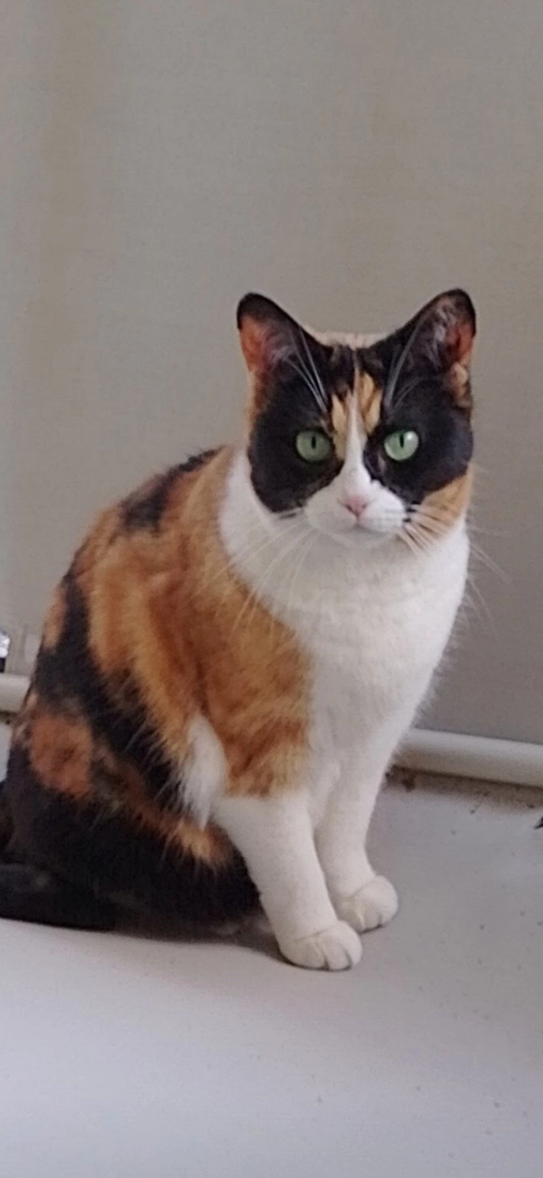 Tipsy - Obere Mühle 2, Erlen