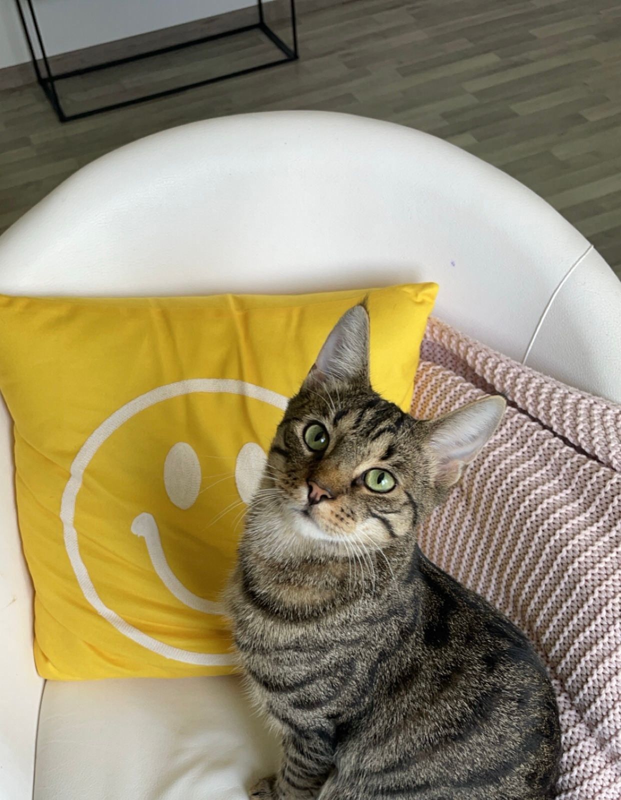 Niels - Sage-Bräu-Straße, Bockhorn