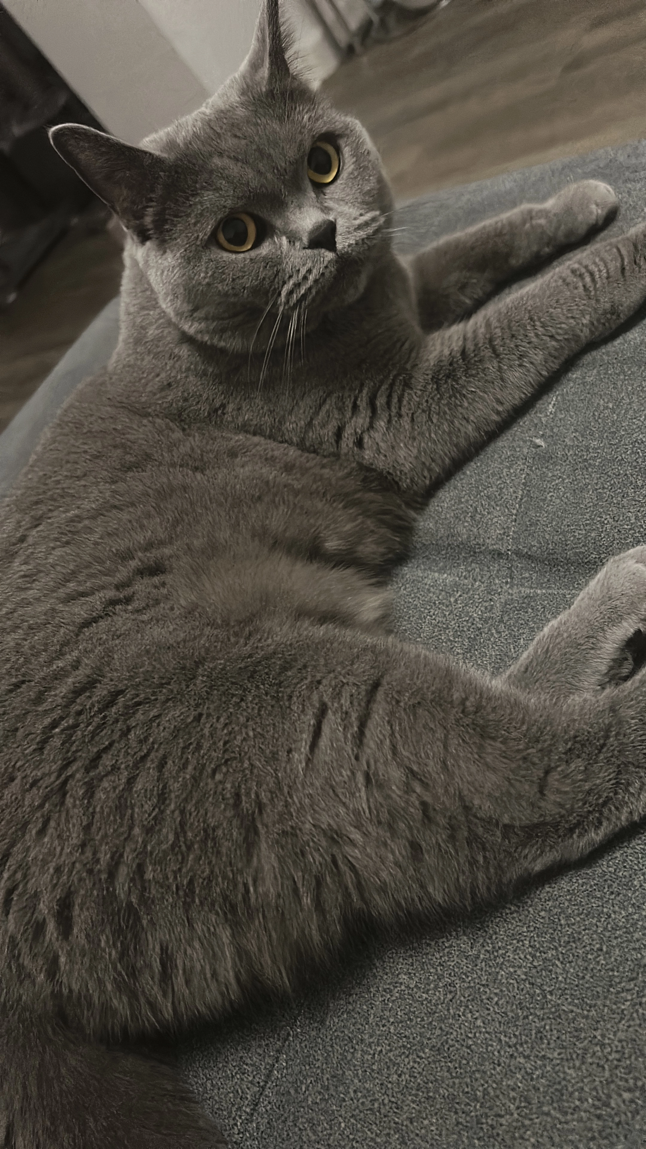 Ela - Mühltorweg, Hanau