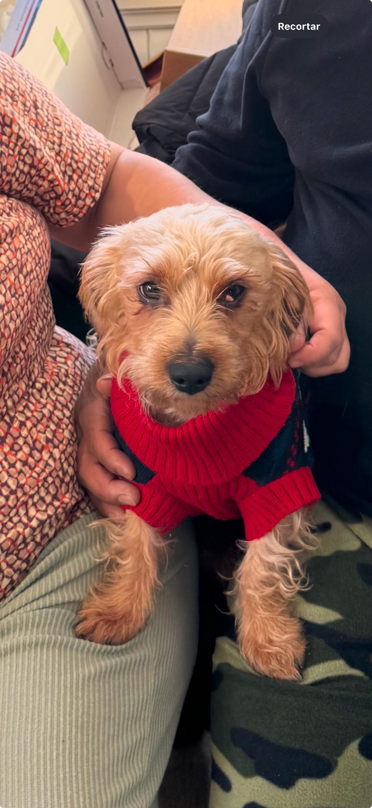 Tilín  - Bäraustrasse, Bärau